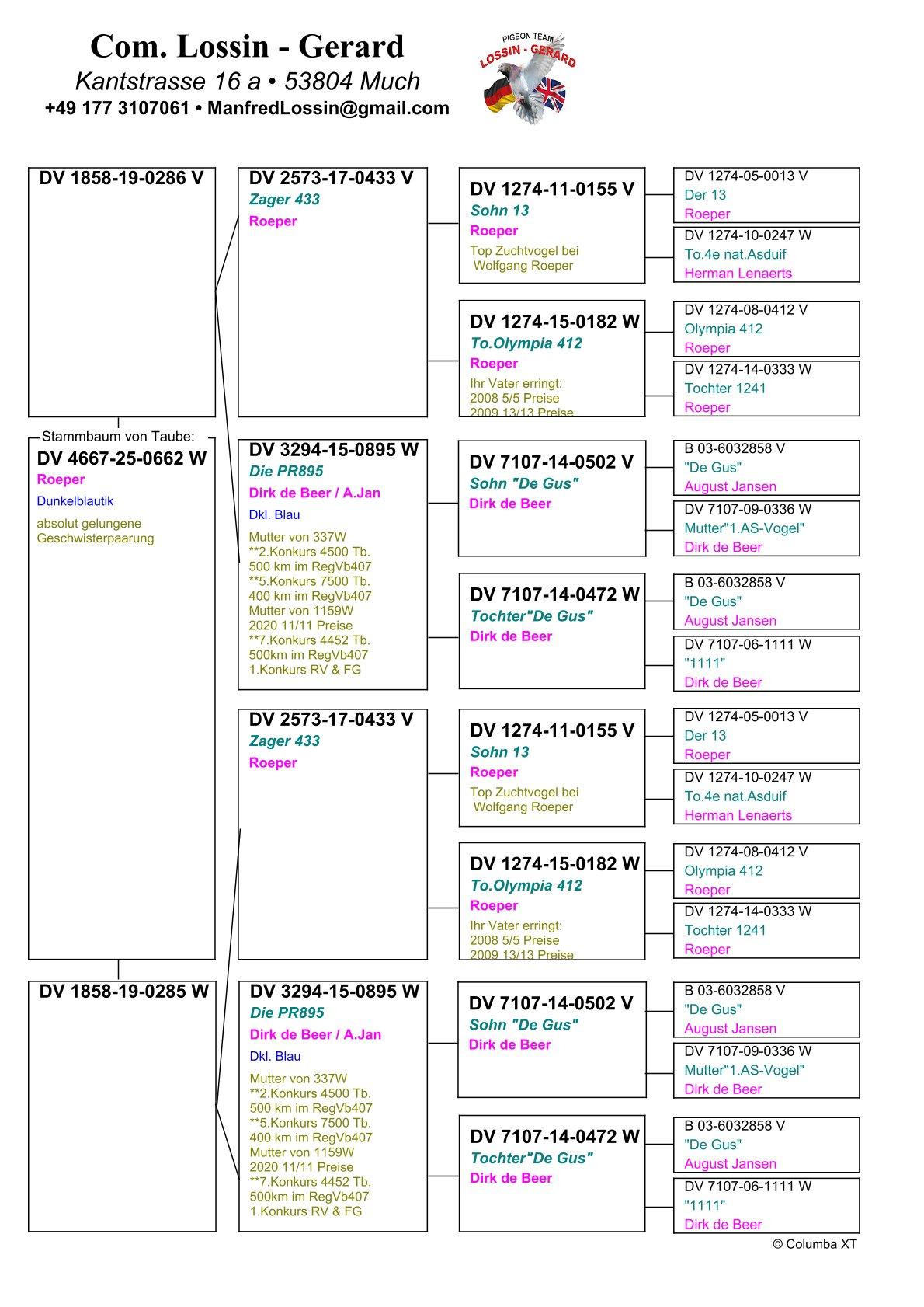 pedigree Inteelt “337” : 2e /4500d. (500km), 5e /7500d. (400Km)