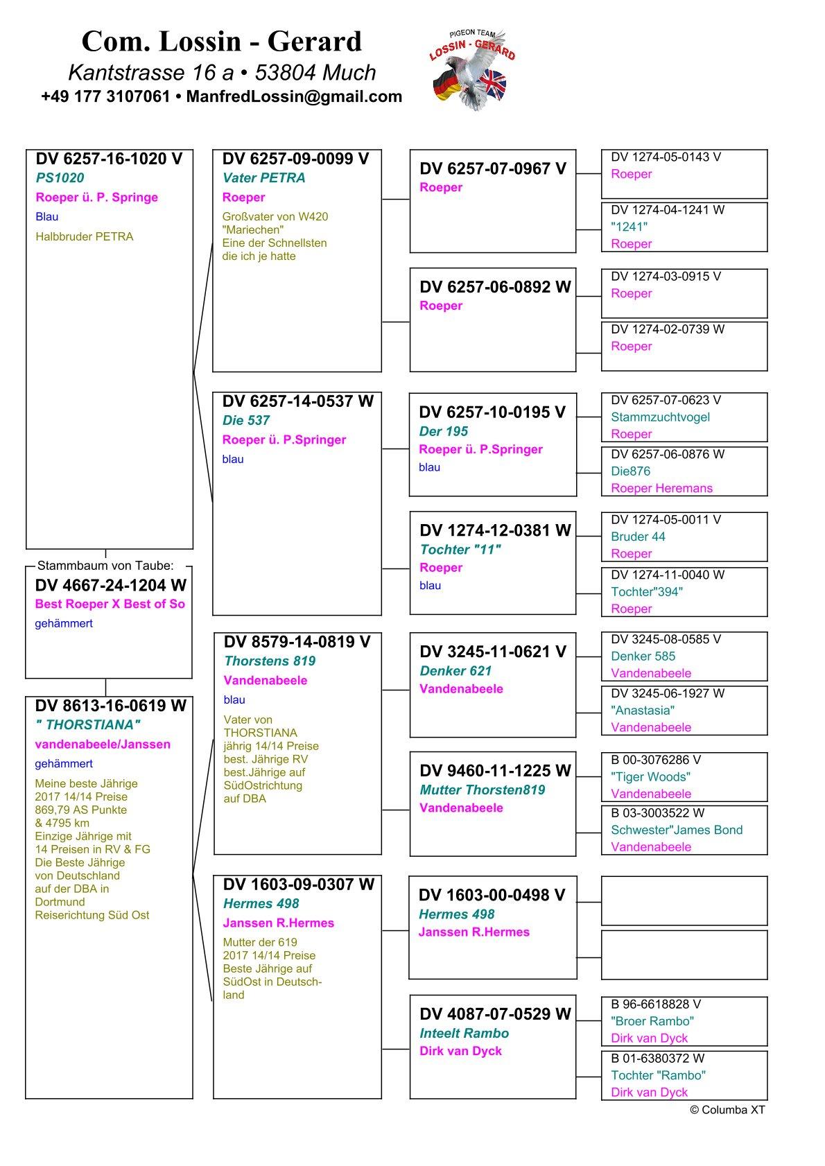pedigree Best of Roeper x Best of Vandenabeele