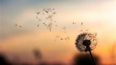 Overlijden Jef Lenaerts (St-Truiden)