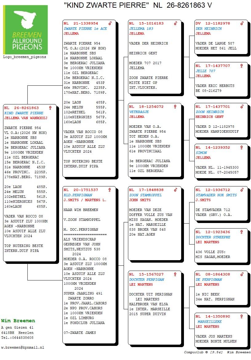 pedigree Kind Zwarte Pierre