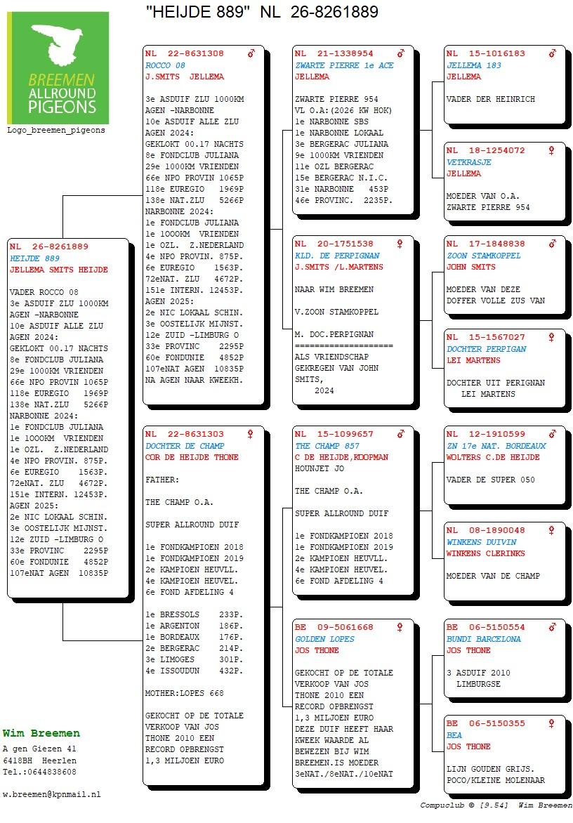 pedigree Kind Rocco 08 : 3e Asduif ZLU Agen-Narbonne