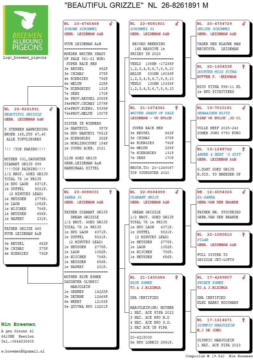 pedigree Beautiful Grizzle