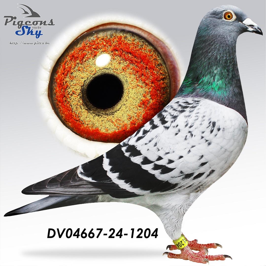 Best of Roeper x Best of Vandenabeele