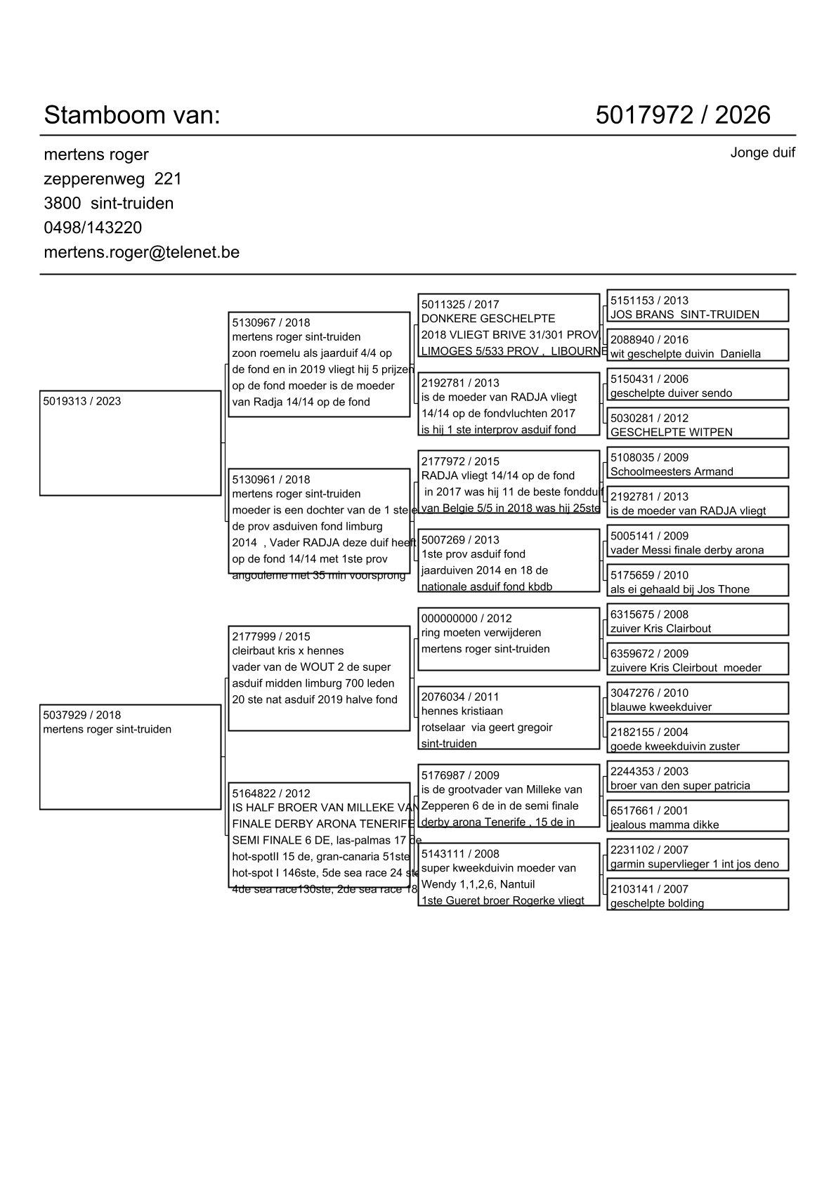pedigree Lijn Roemelu, Radja, Wout & Milleke