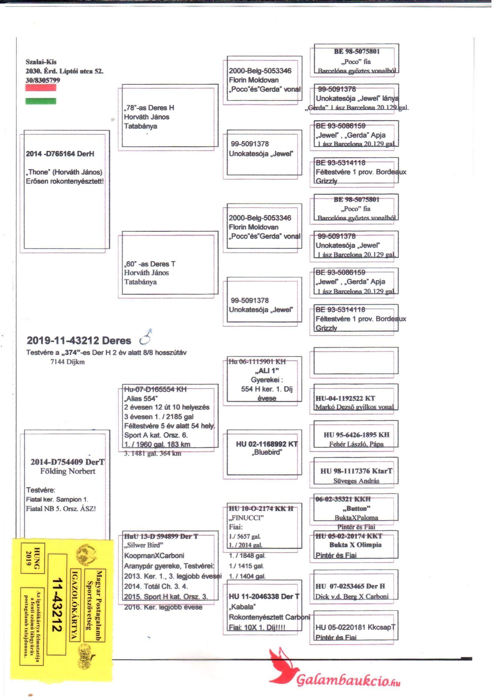 pedigree Kleinzoon “Alias 554” won 3 x 1.