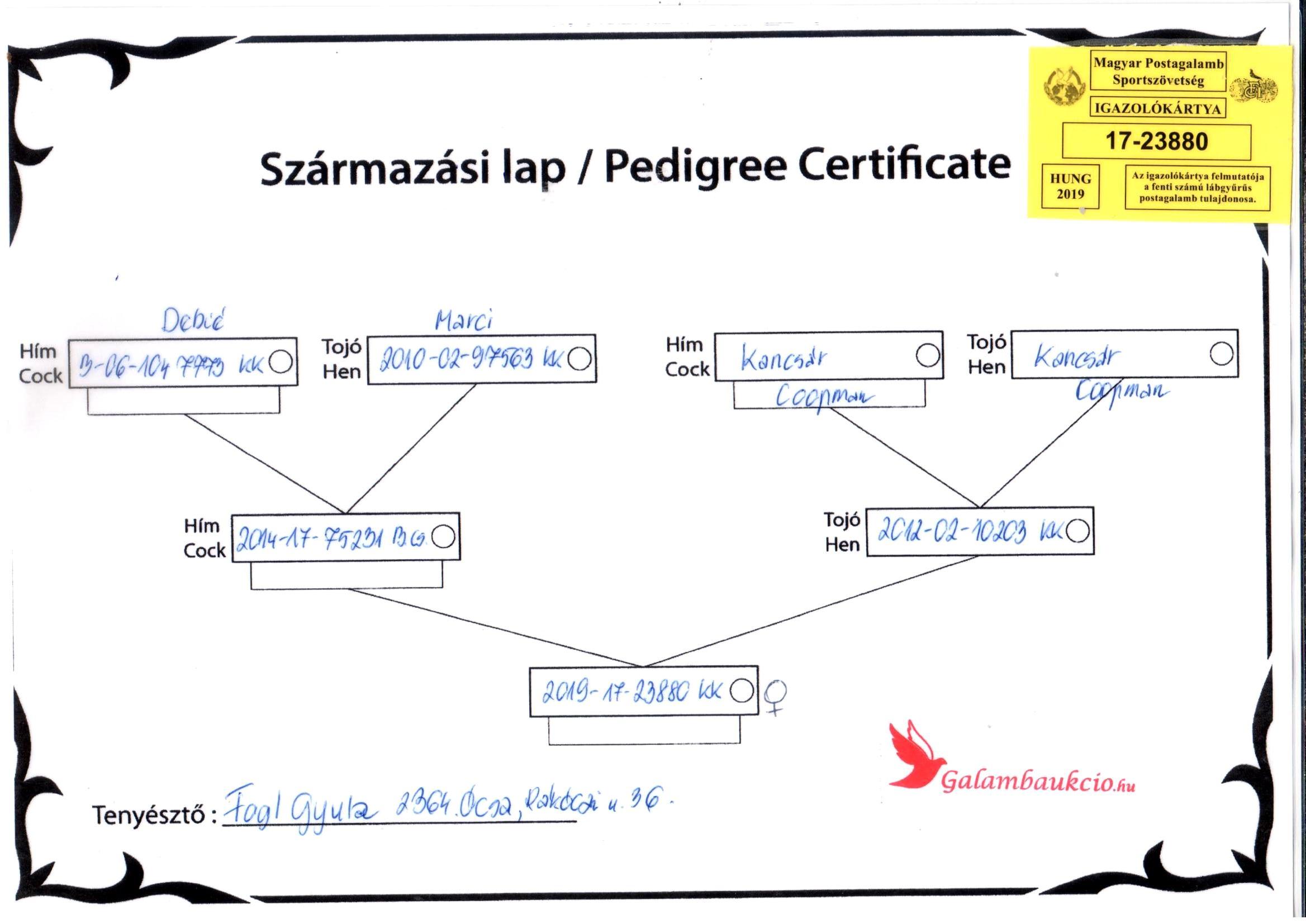 pedigree 50% Koopman
