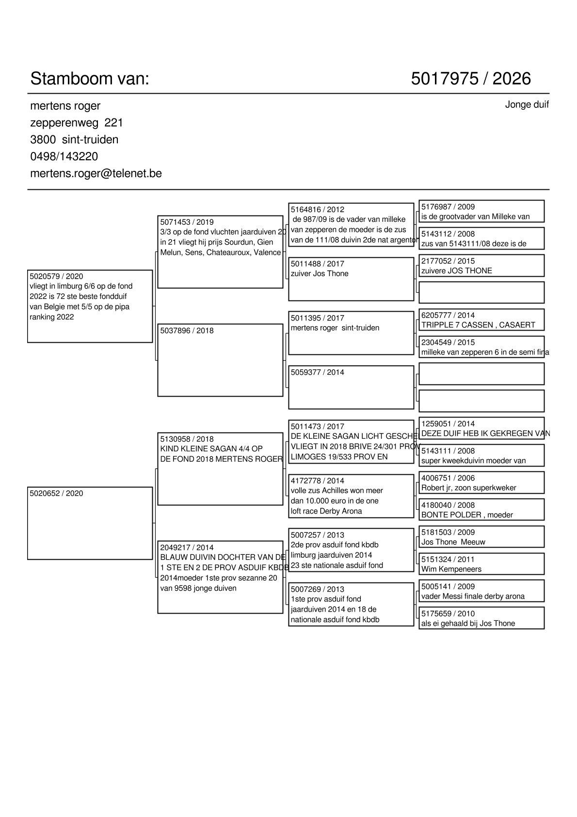 pedigree Kind 72. Beste fond duif van Belgje Pipa Ranking 2022