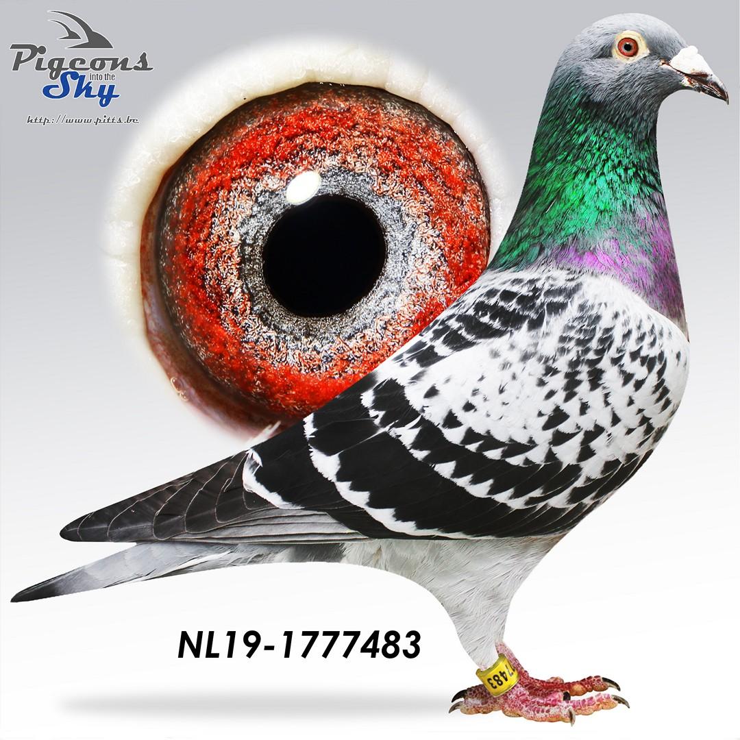 Volle zus 2. Nationaal Zone Argenton III