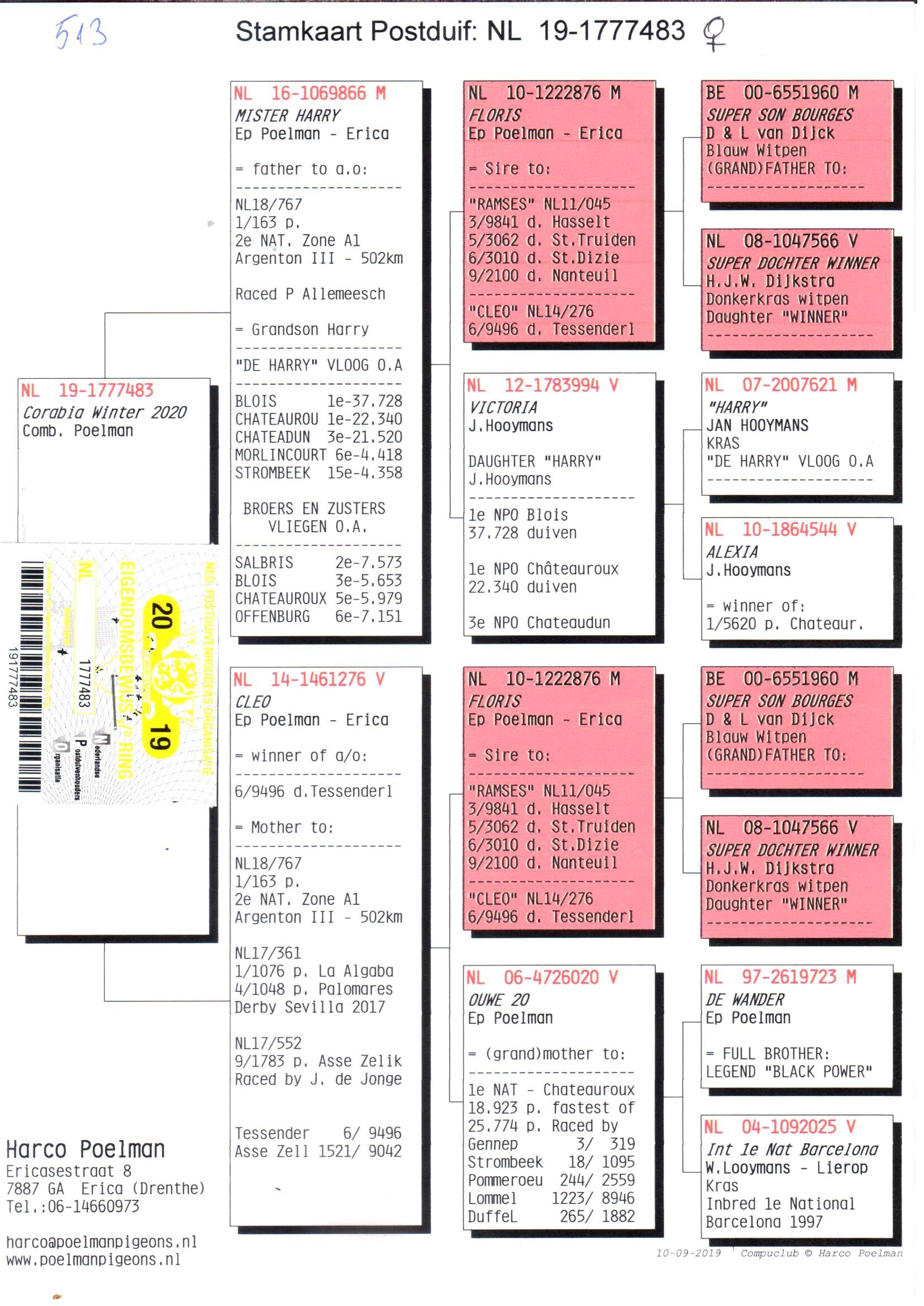 pedigree Volle zus 2. Nationaal Zone Argenton III