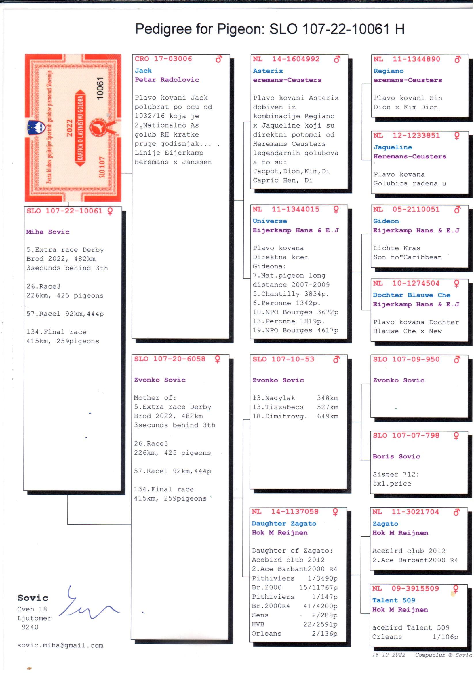 pedigree 5. Extra Race Derby Brod (482 Km)