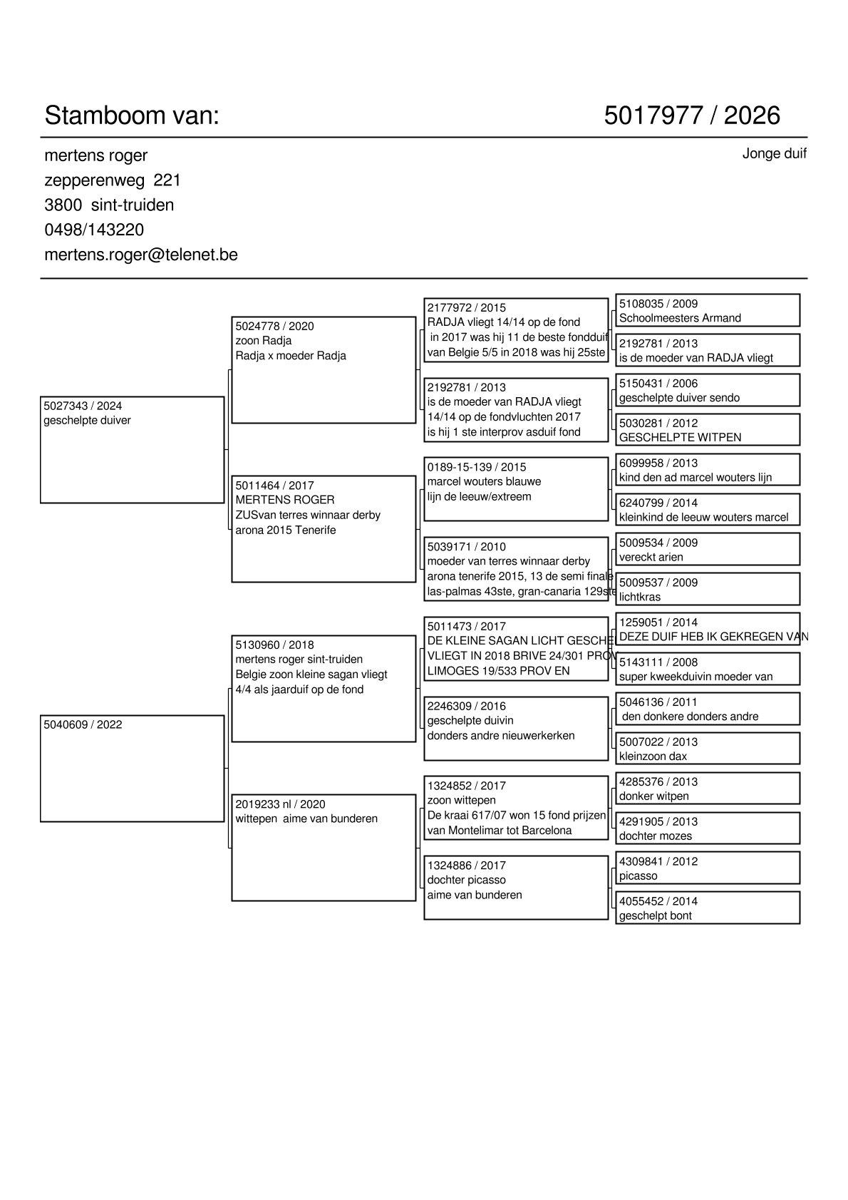 pedigree Lijn “Radja” 1. Provinciaal Angouleme , 11. & 25.Beste Fond duif van België Pipa Ranking