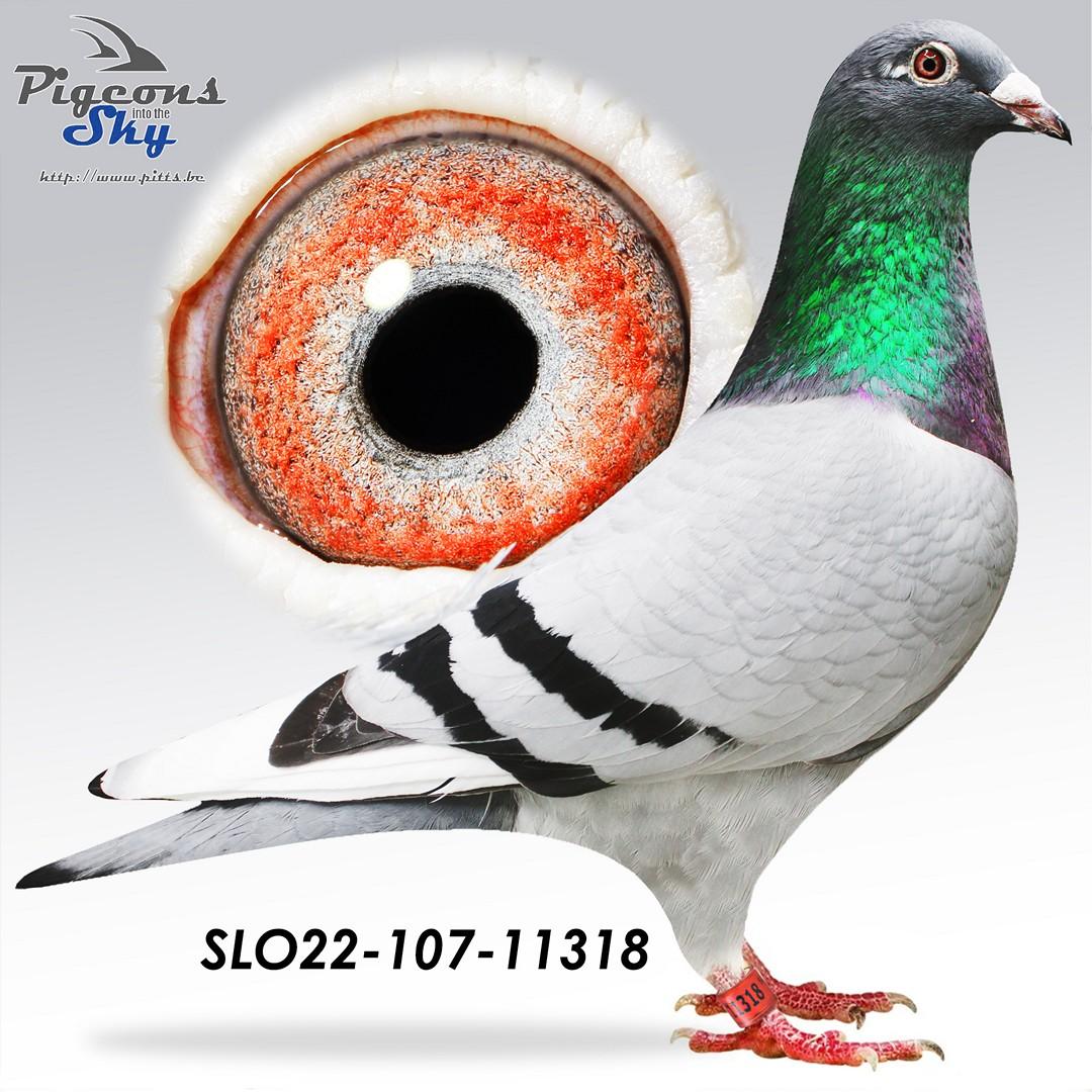 9. Super Finale Jehlava Derby Brod 2022