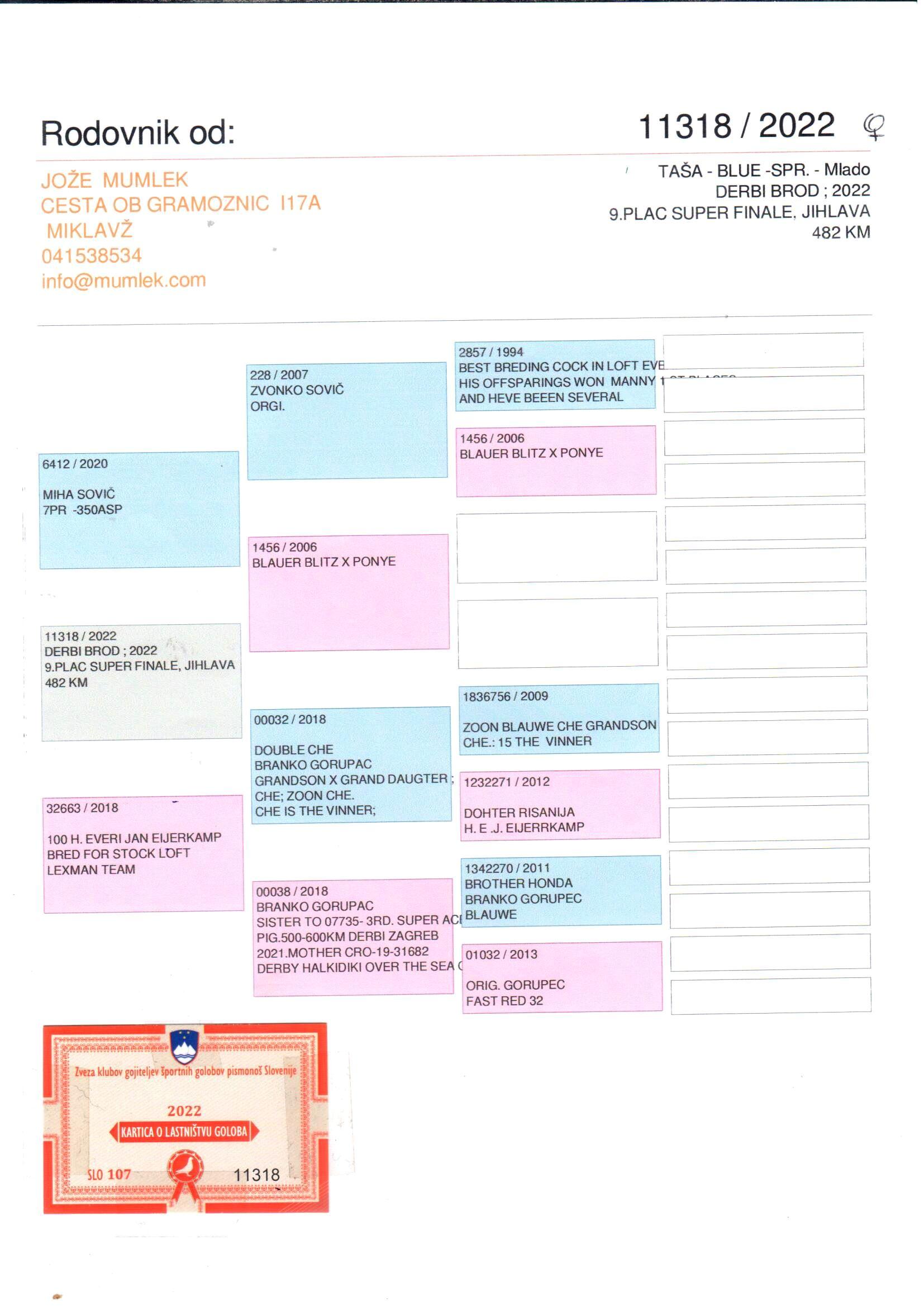 pedigree 9. Super Finale Jehlava Derby Brod 2022