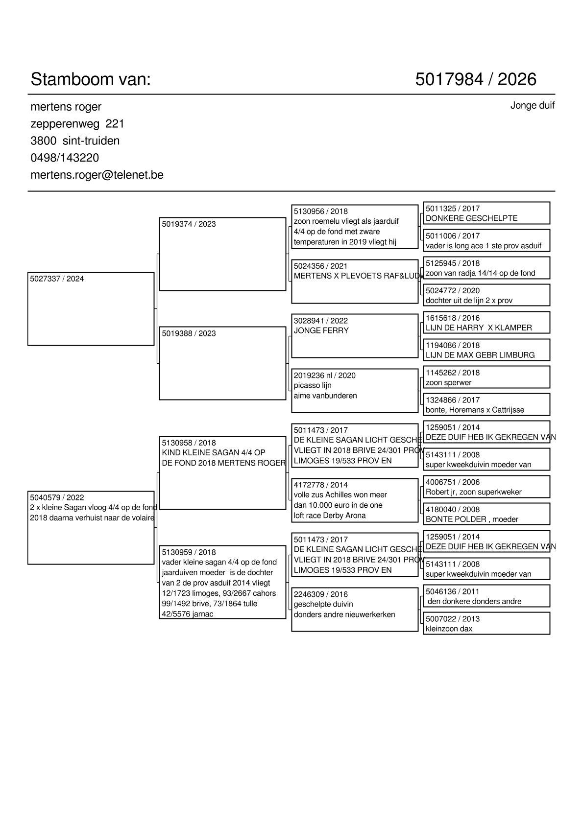 pedigree Kleinzoon “Roemelu” x Inteelt “Kleine Sagan”