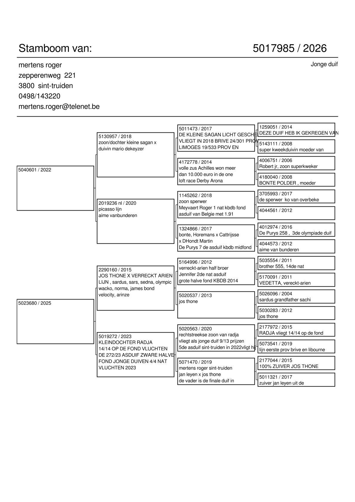 pedigree Lijn Kleine Sagan, Picasso (Aima Vanbunderen) x “Radja” /Thone-Verrect-Arien