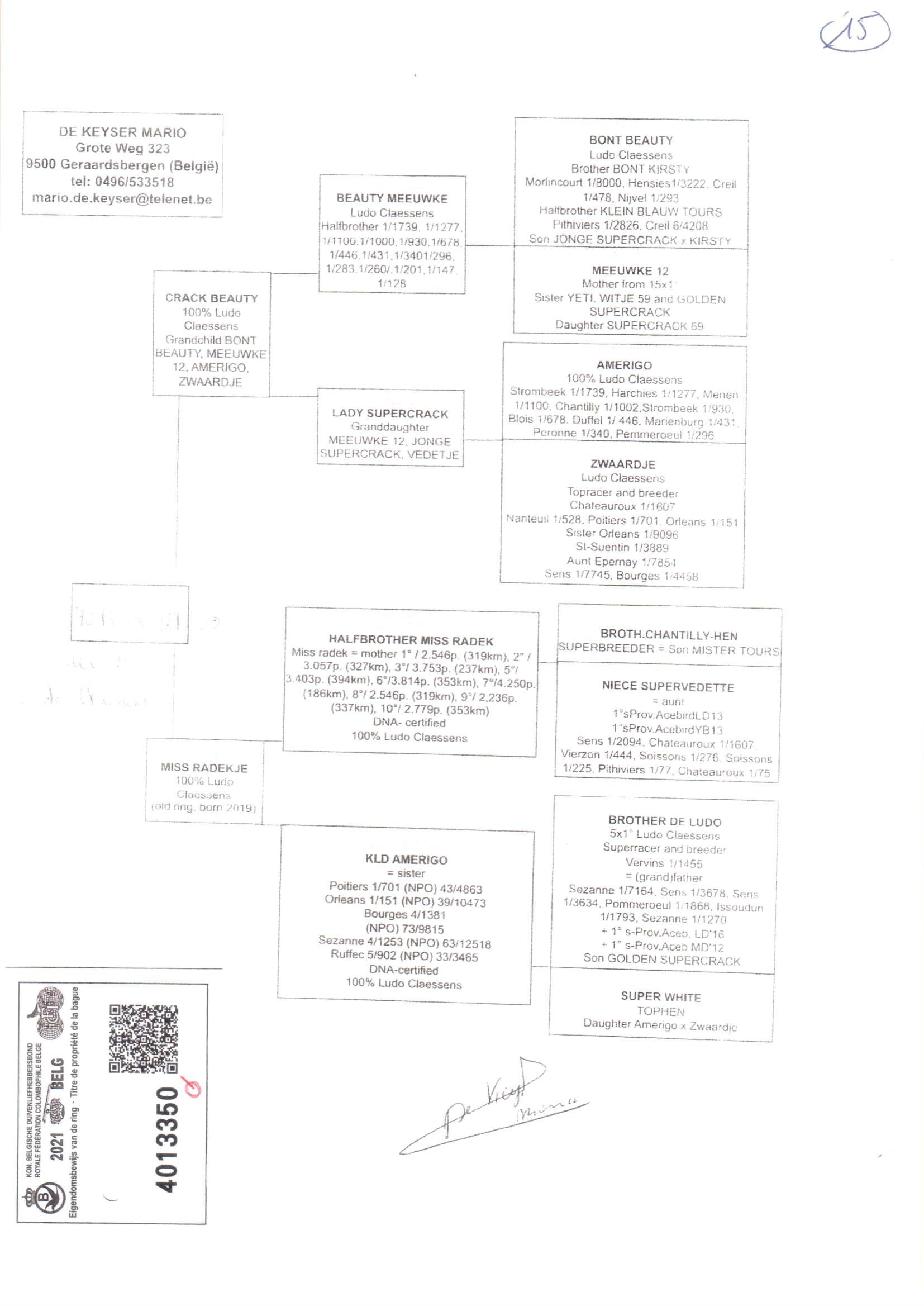 Pedigree van Den 979