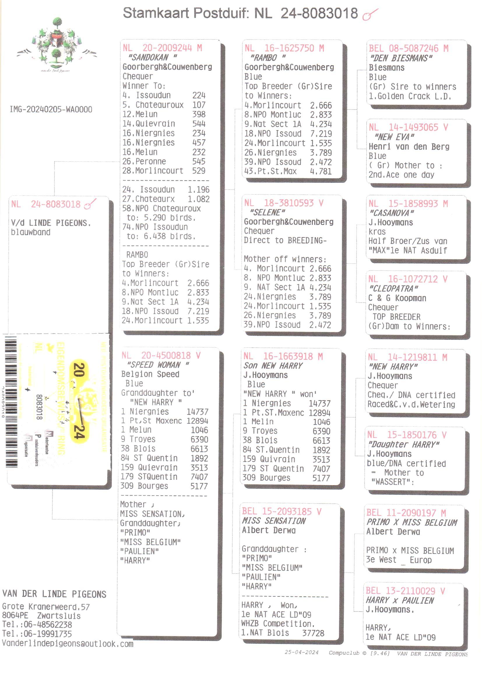 Pedigree van Den 961