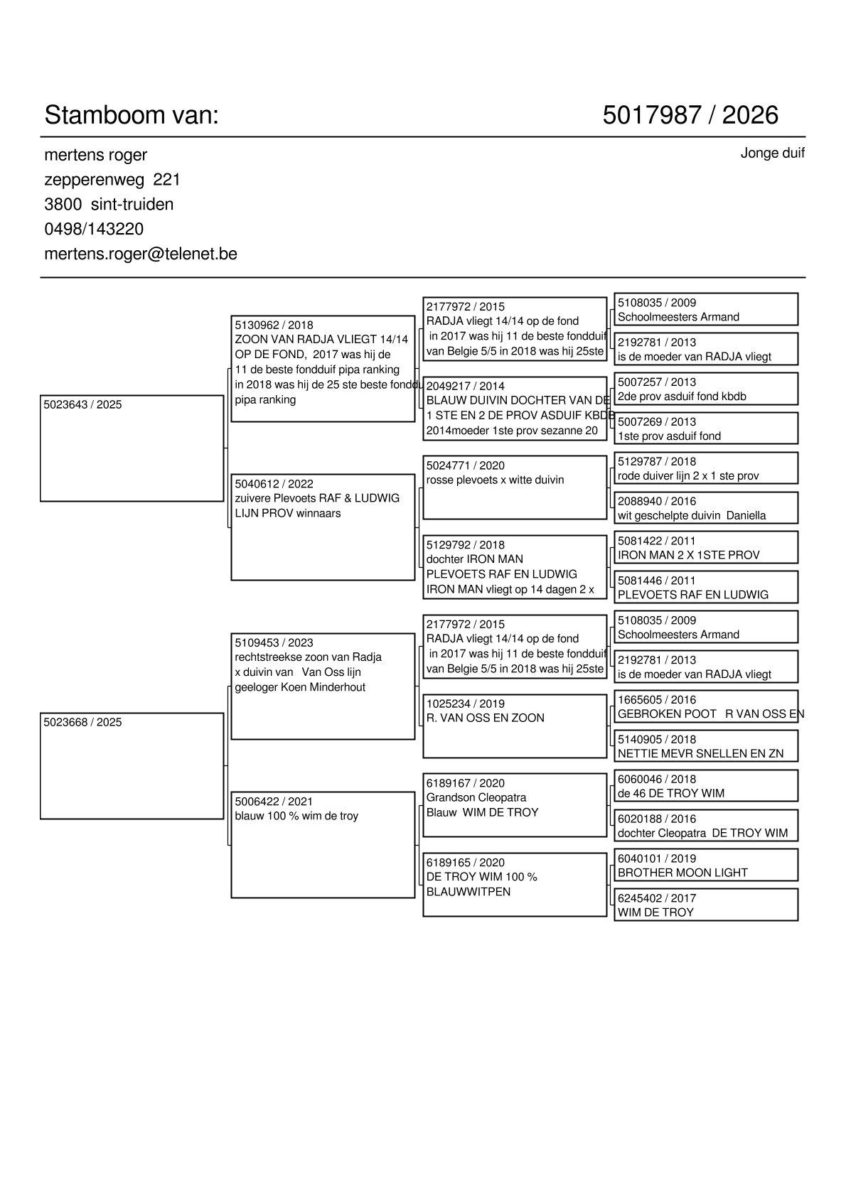 pedigree Radja/R. & L. Plevoets x Radja/De Troy