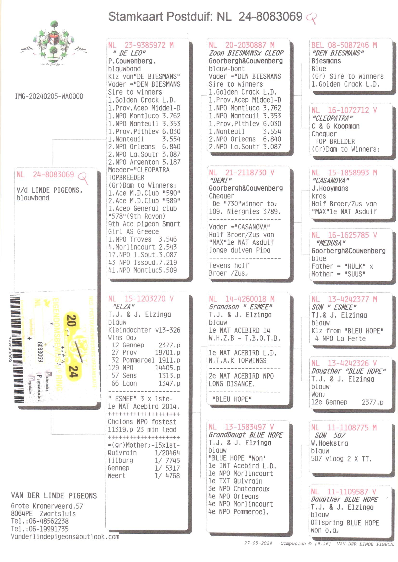 Pedigree van Den 973