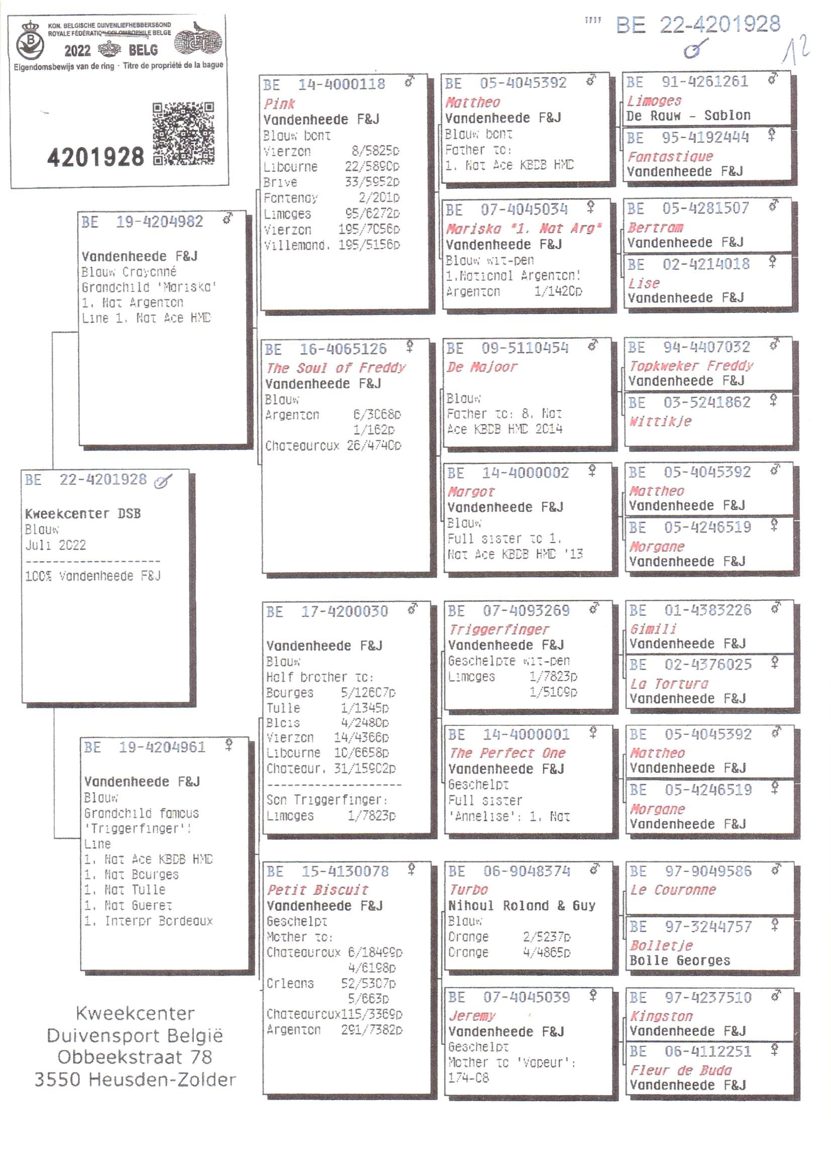 Pedigree van Den 975