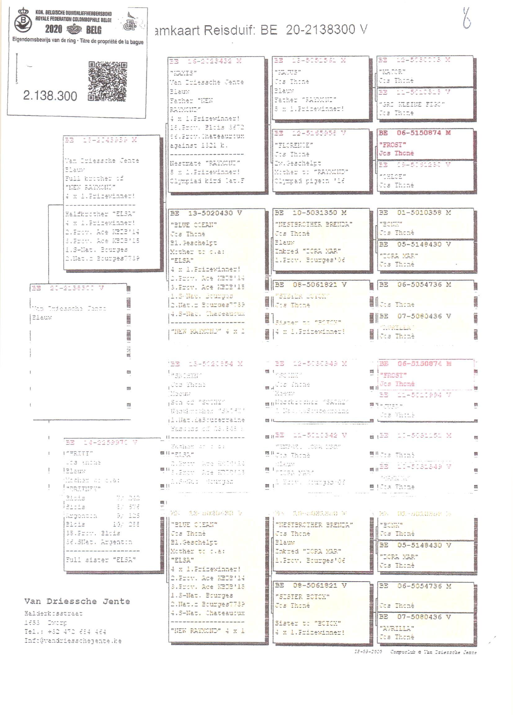 Pedigree van Den 977