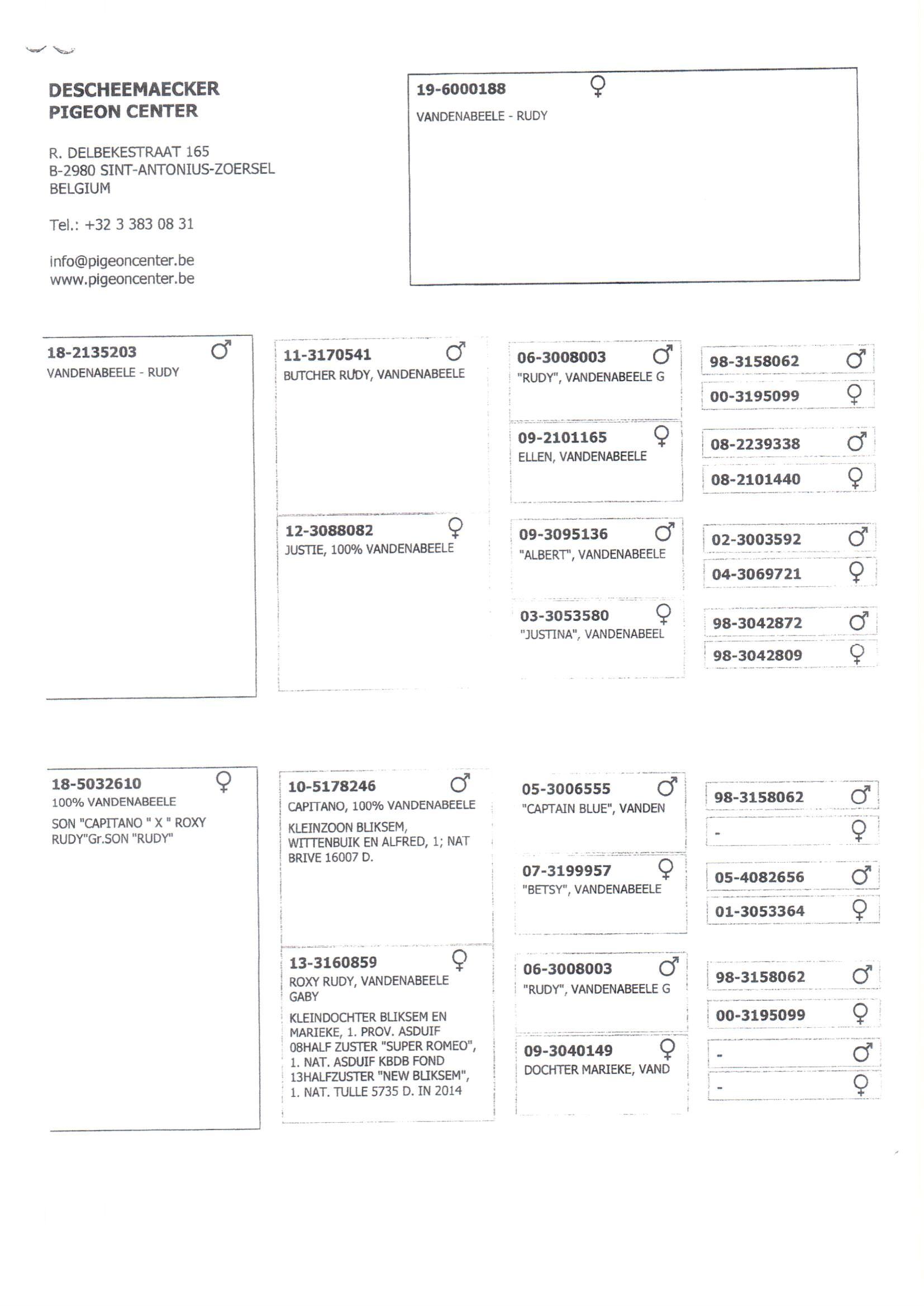 Pedigree van Den 964