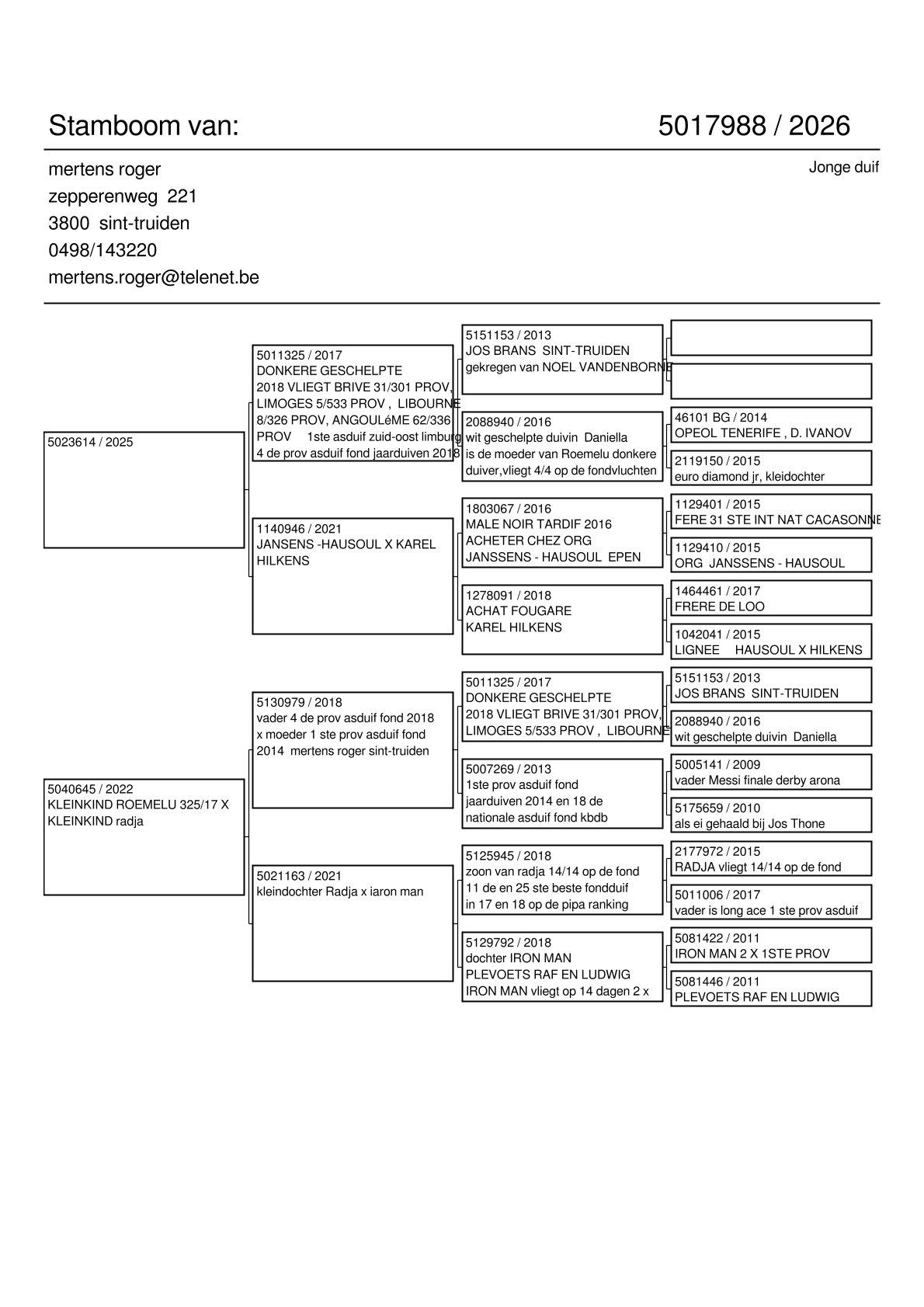 pedigree Kleinkind “Donkere Geschelpte” 1. As Zuid-Oost Limburg & 4. Prov As KBDB Fond 2018