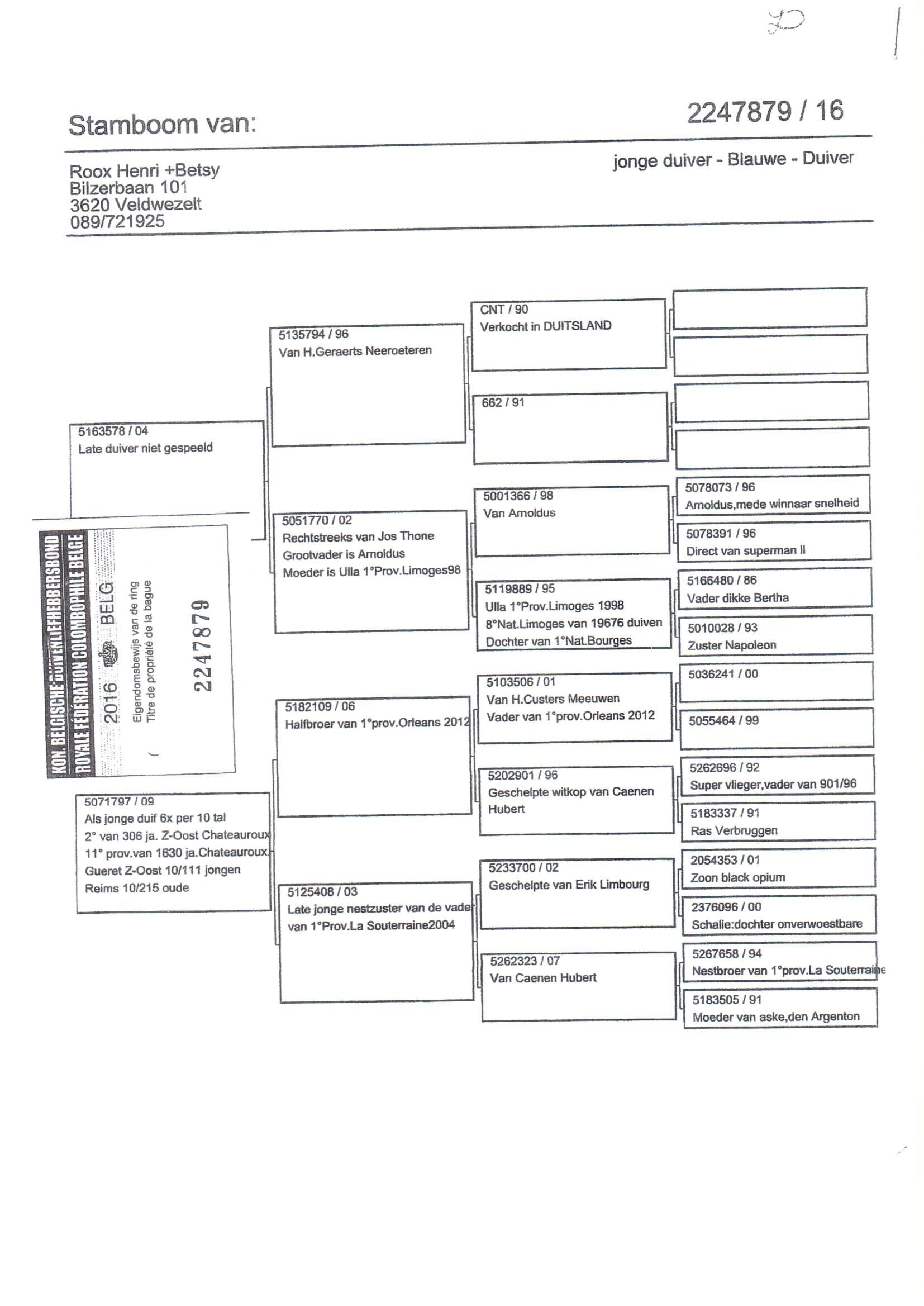 Pedigree van Den 965