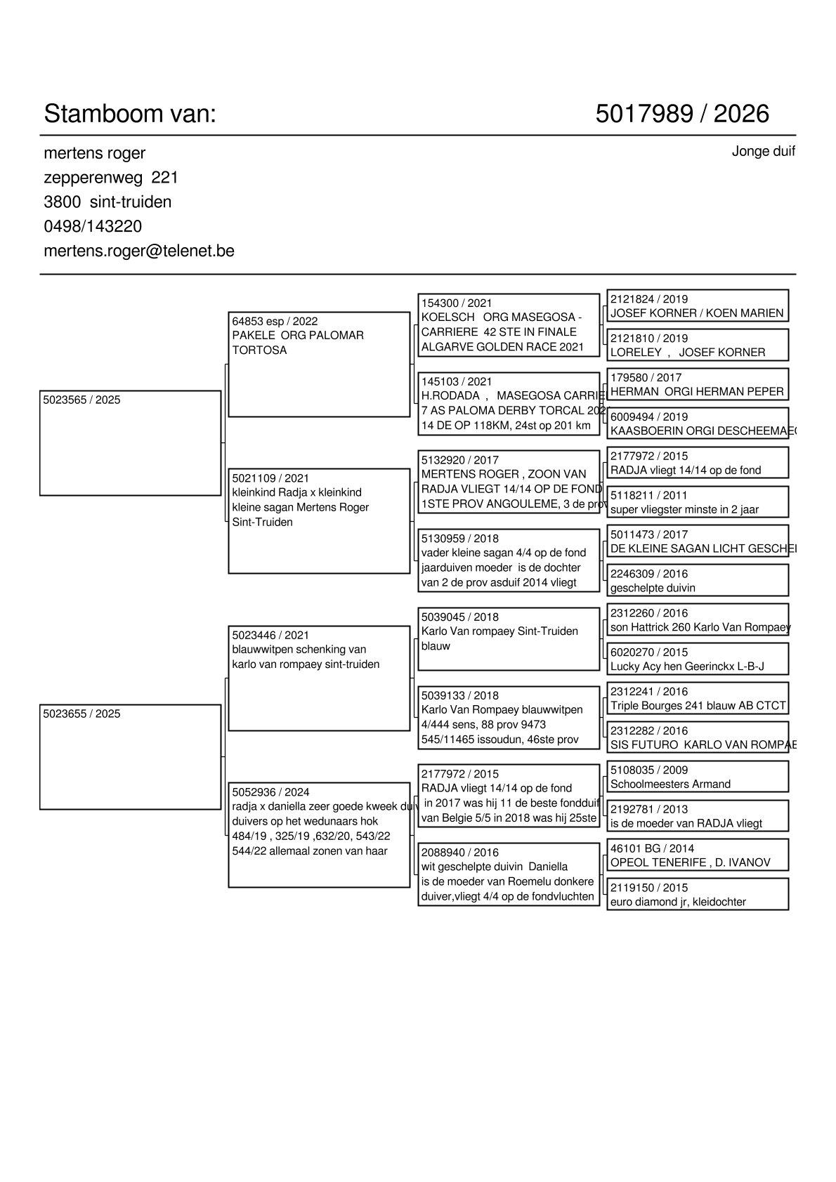 pedigree Radja/Palomar-Tortosa x Van Rompaey/Radja