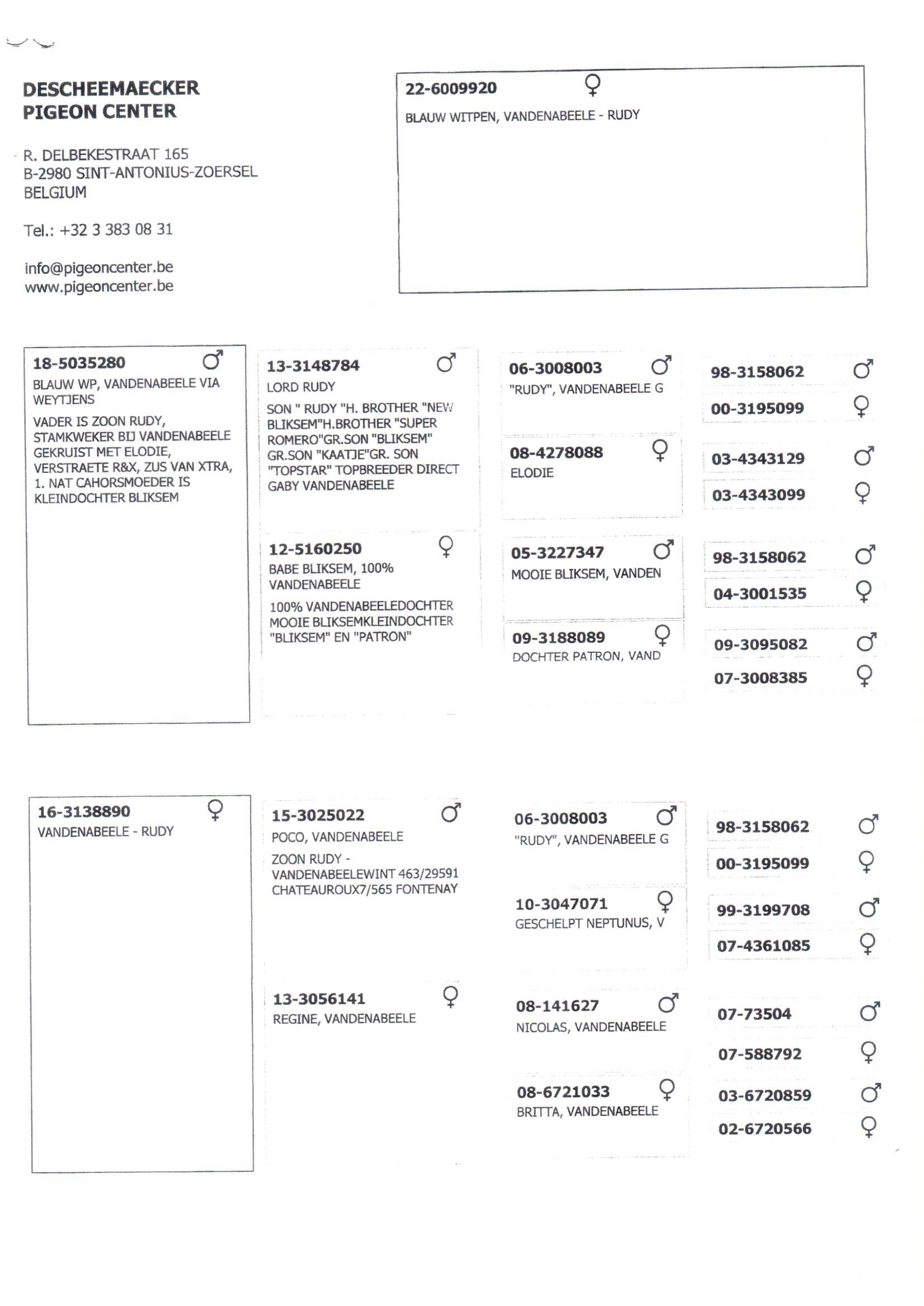 Pedigree van Den 966