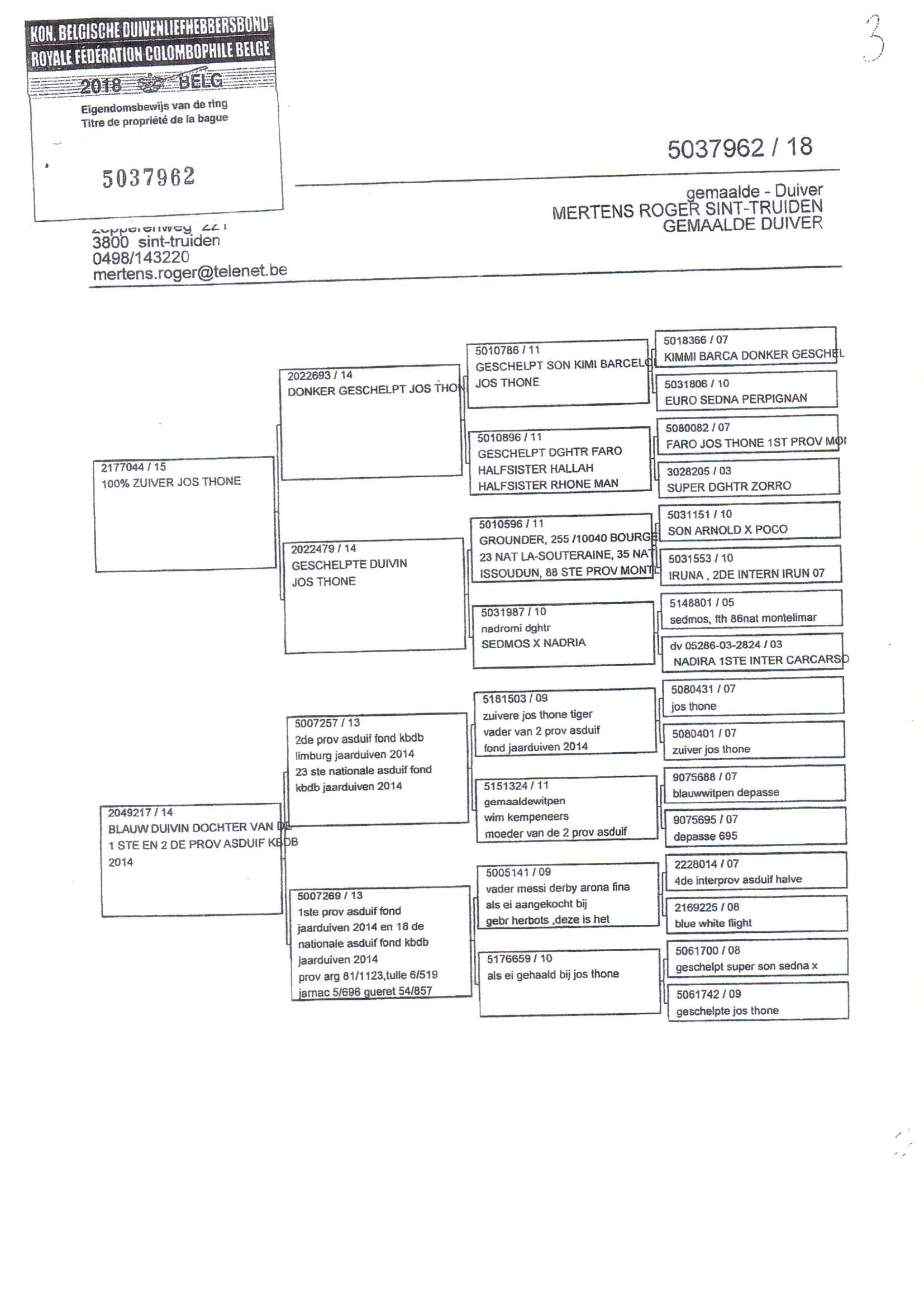 Pedigree van Den 966
