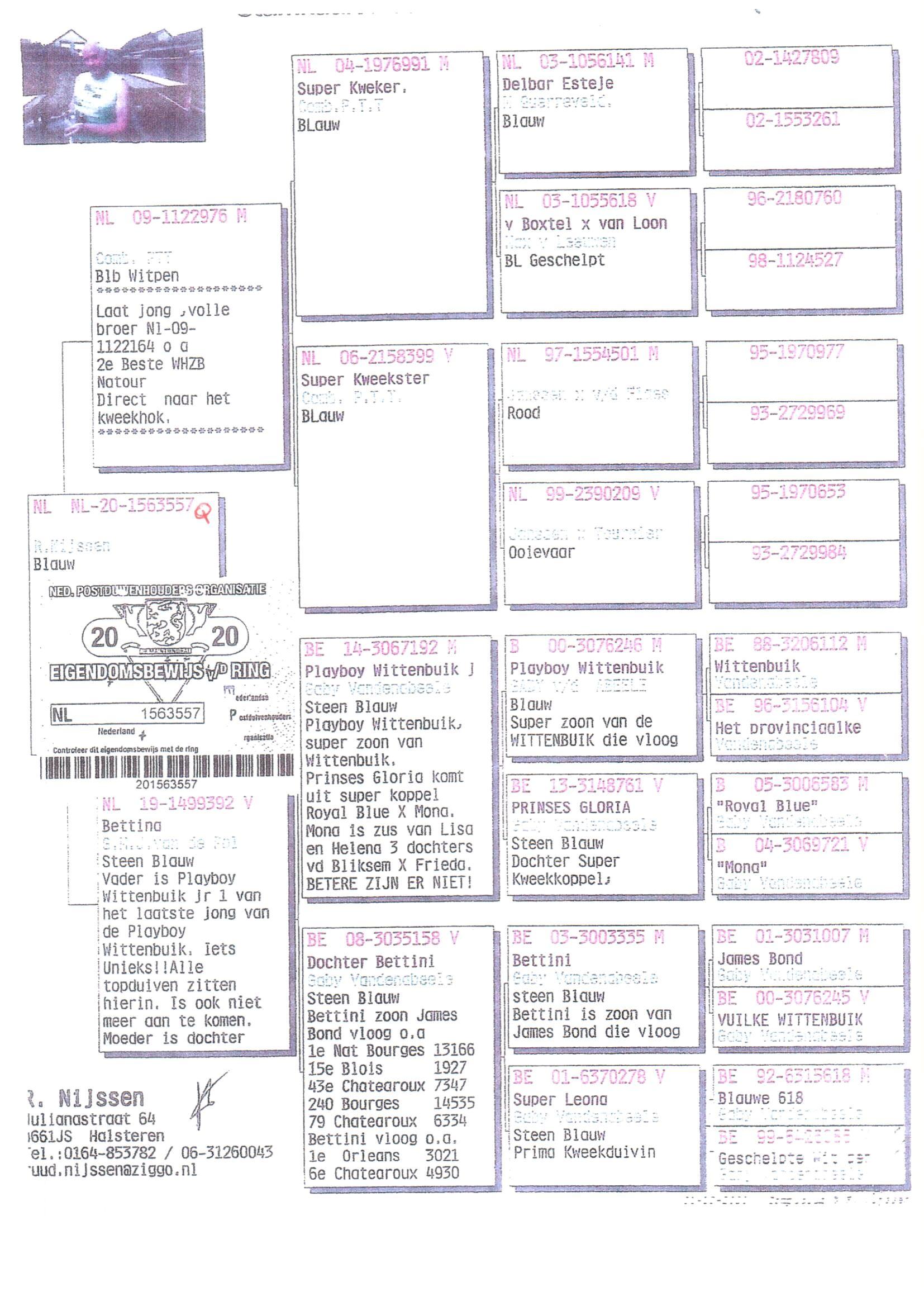 Pedigree van Den 971