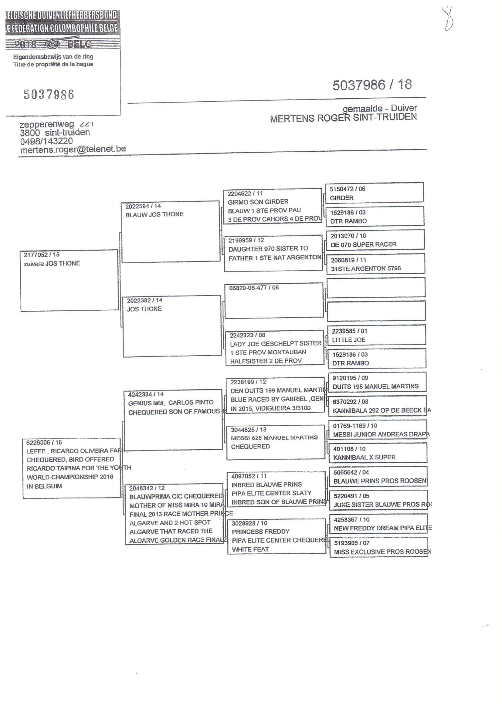 Pedigree van Den 969