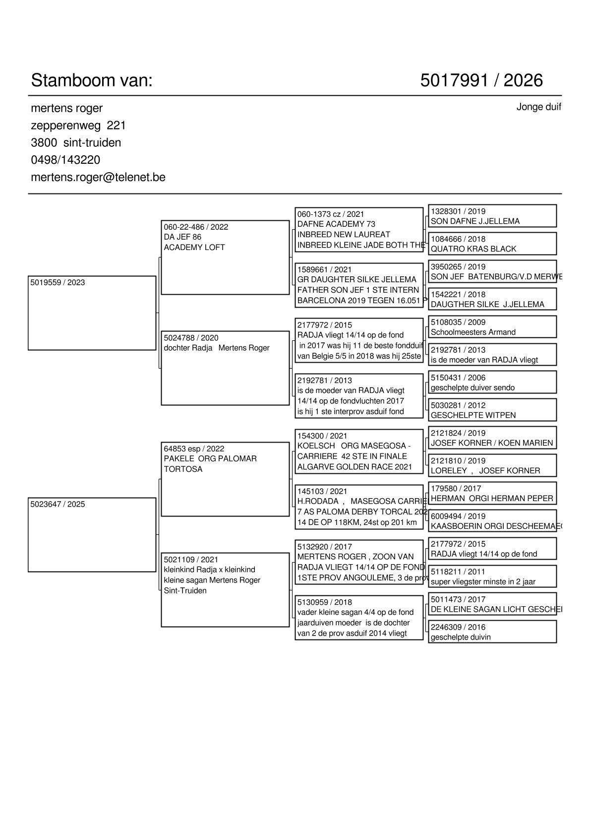 pedigree Jellema x Radja/Palomar-Tortosa