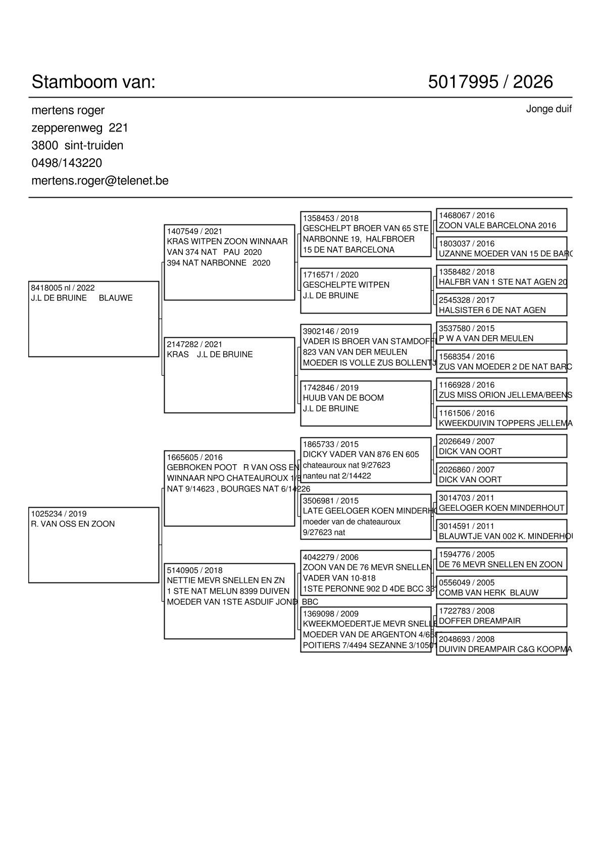pedigree J. L. Bruine x R. Van Oss