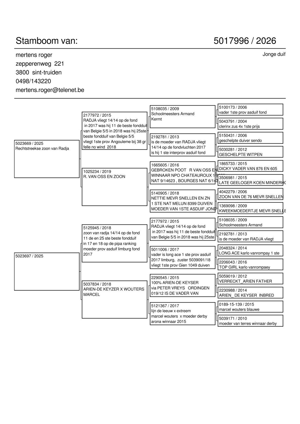 pedigree Kleinkind “Radja” 1. Provinciaal Angouleme , 11. & 25.Beste Fond duif van België Pipa Ranking