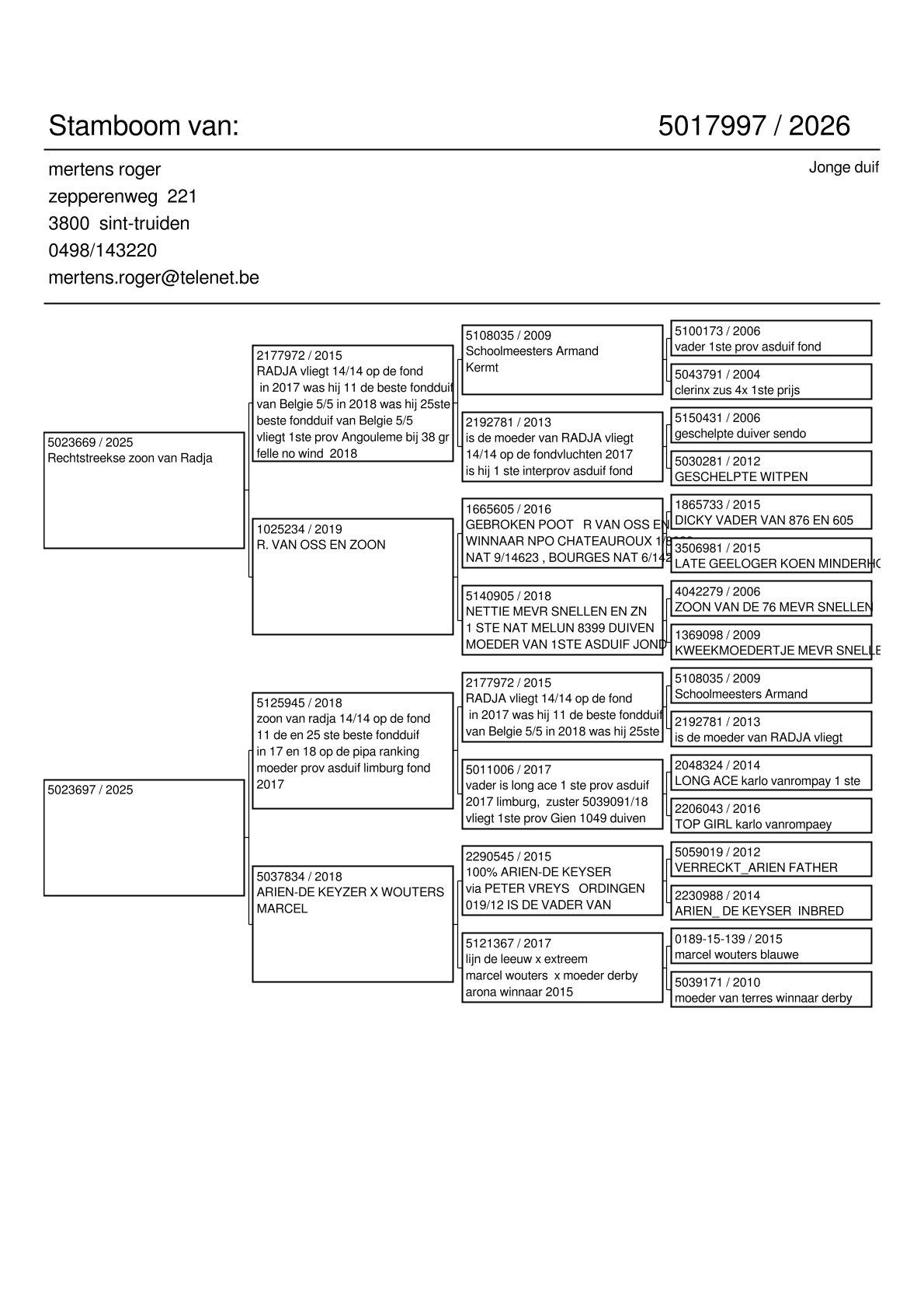 pedigree Kleinkind “Radja” 1. Provinciaal Angouleme , 11. & 25.Beste Fond duif van België Pipa Ranking