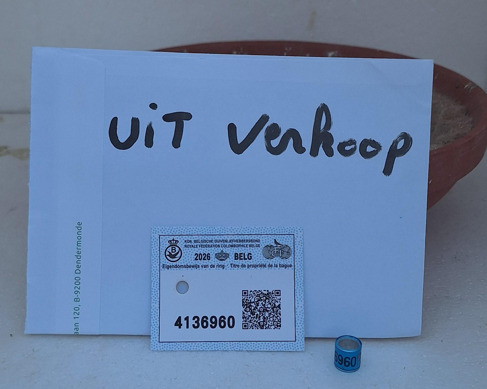 UIT VERKOOP - Hoofdafbeelding