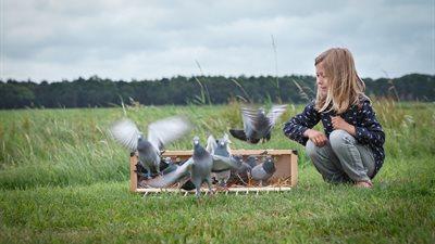 181747-_mg_5023-bewerkt-croppedxs