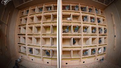 265405-hippollywood_lr1200-fnb_2888-croppedxs