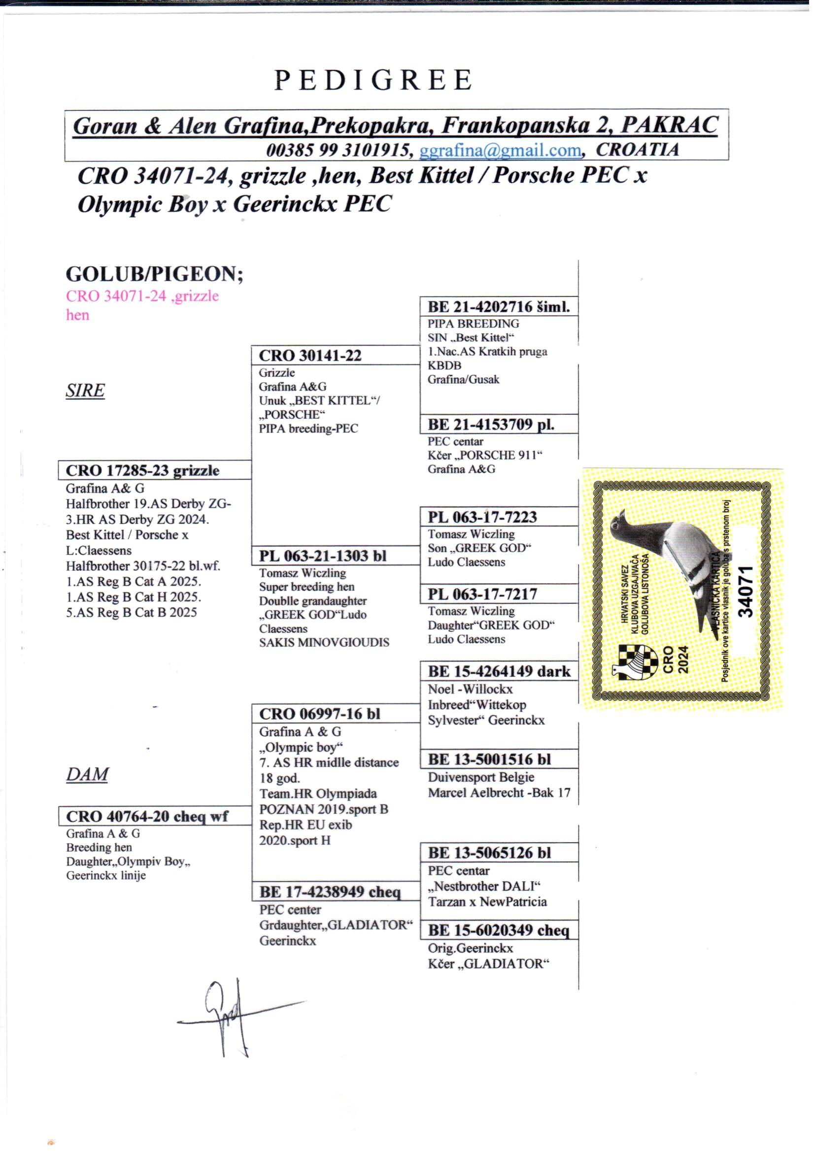 pedigree Grizzle Best Kittel : Lijn 1e Nat. Asduif Snelheid
