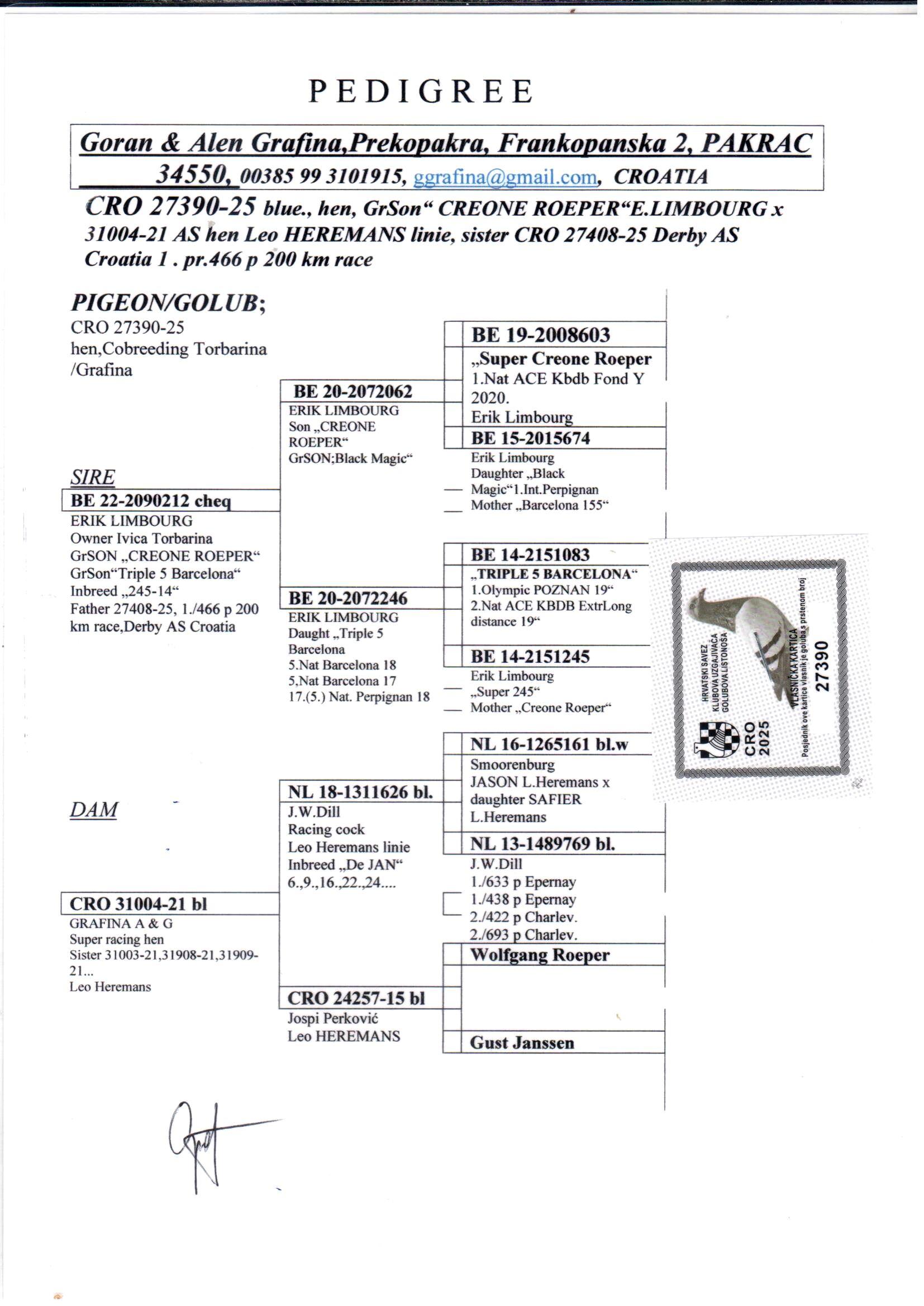 pedigree Lijn “Super Creone Roeper” (Limbourg Erik) : 1e Nat. Asduif Fond Jrl. 2020 & Lijn "Triple 5" (Limbourg Erik) : 1e Olympiade Duif LD 2019 & 2e Nat. Asduif Extr.LD KBDB 2019
