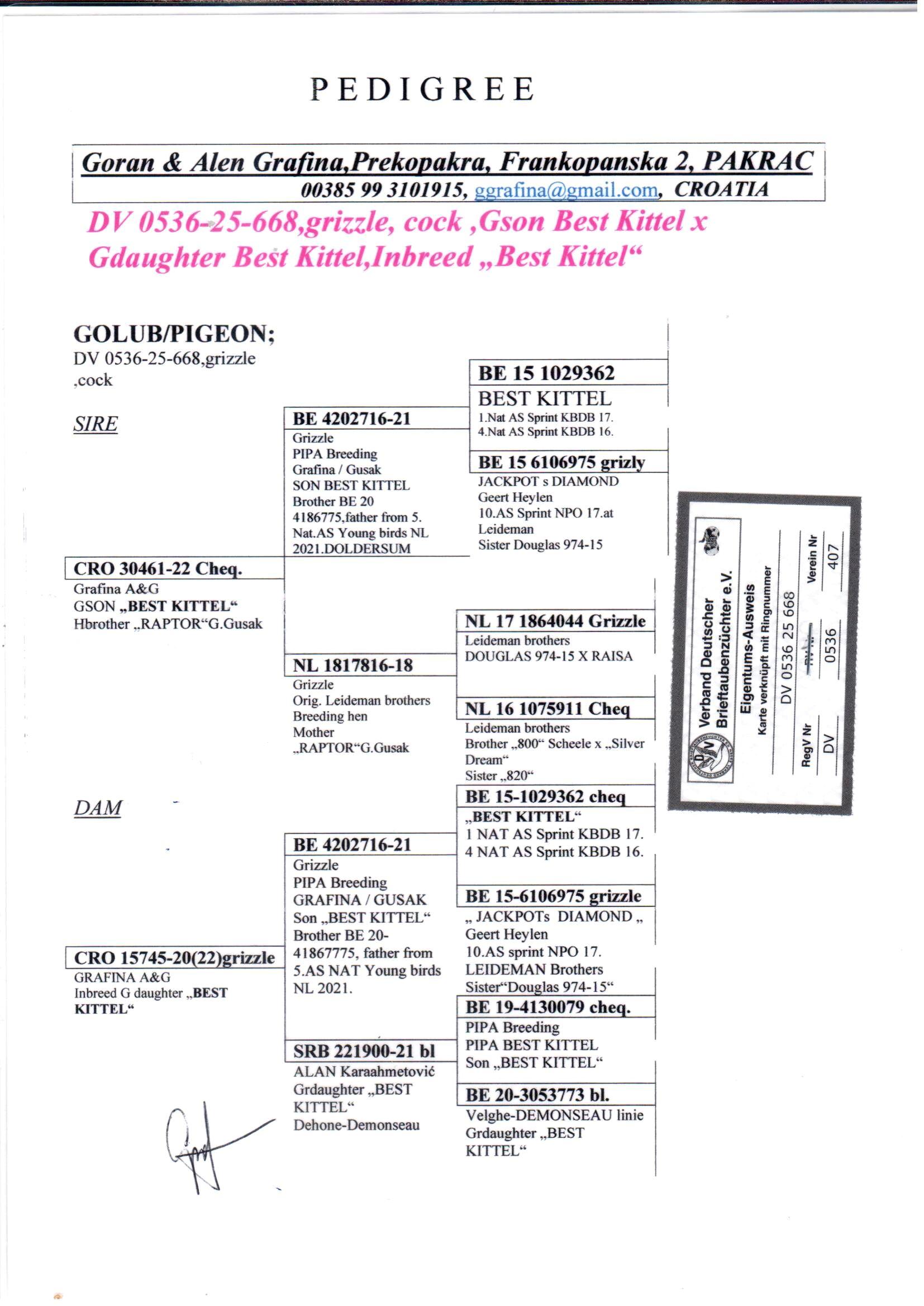 pedigree Inteelt "Best Kittel" (PEC) : 1e Nat. Asduif Snelheid