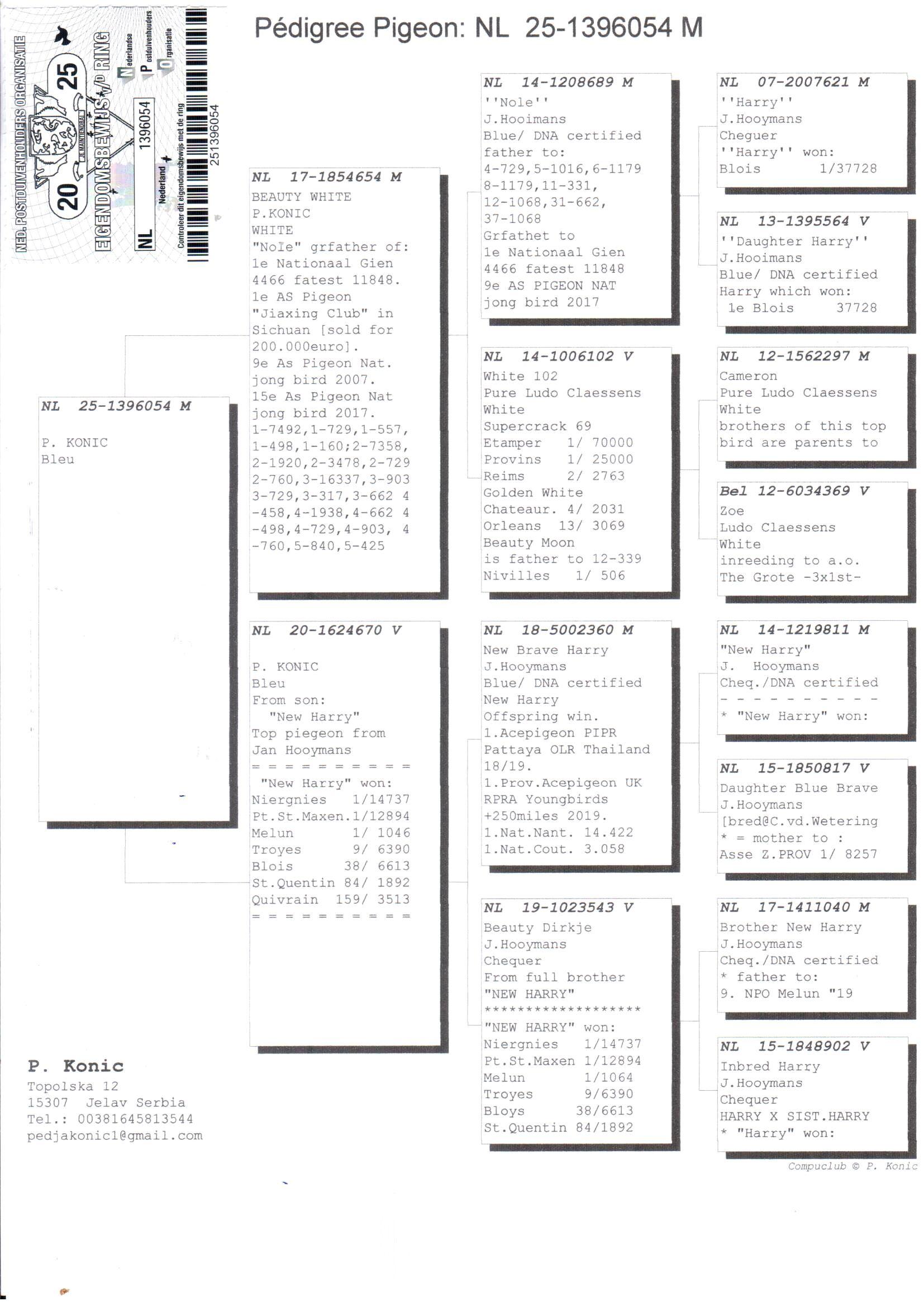 pedigree Lijn Harry (Hooymans Jan)