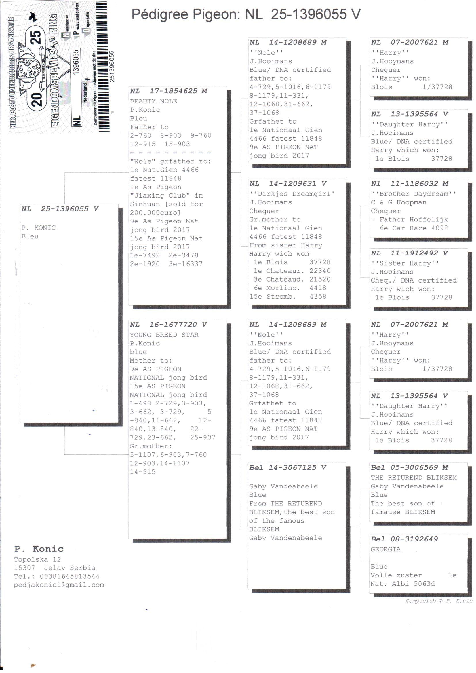 pedigree Lijn Harry (Hooymans Jan)
