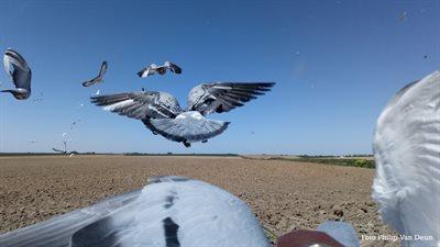 266883-dsc_0169-croppedxs