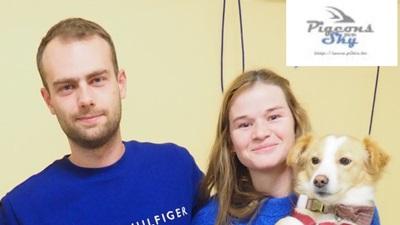 LORENZ VERELST (Kempenduiven Seizoensoverzicht 2026)