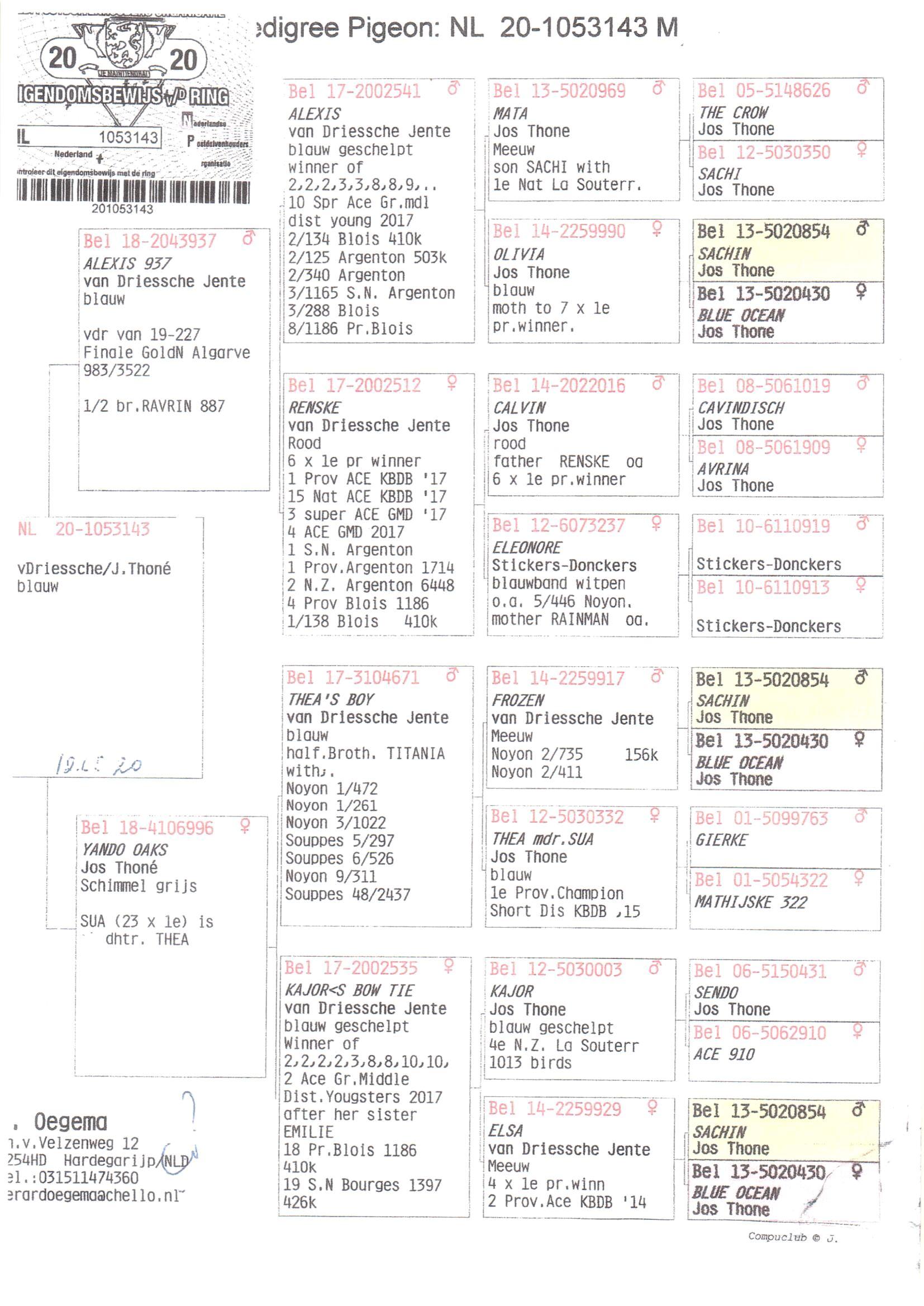 Pedigree van Den 989