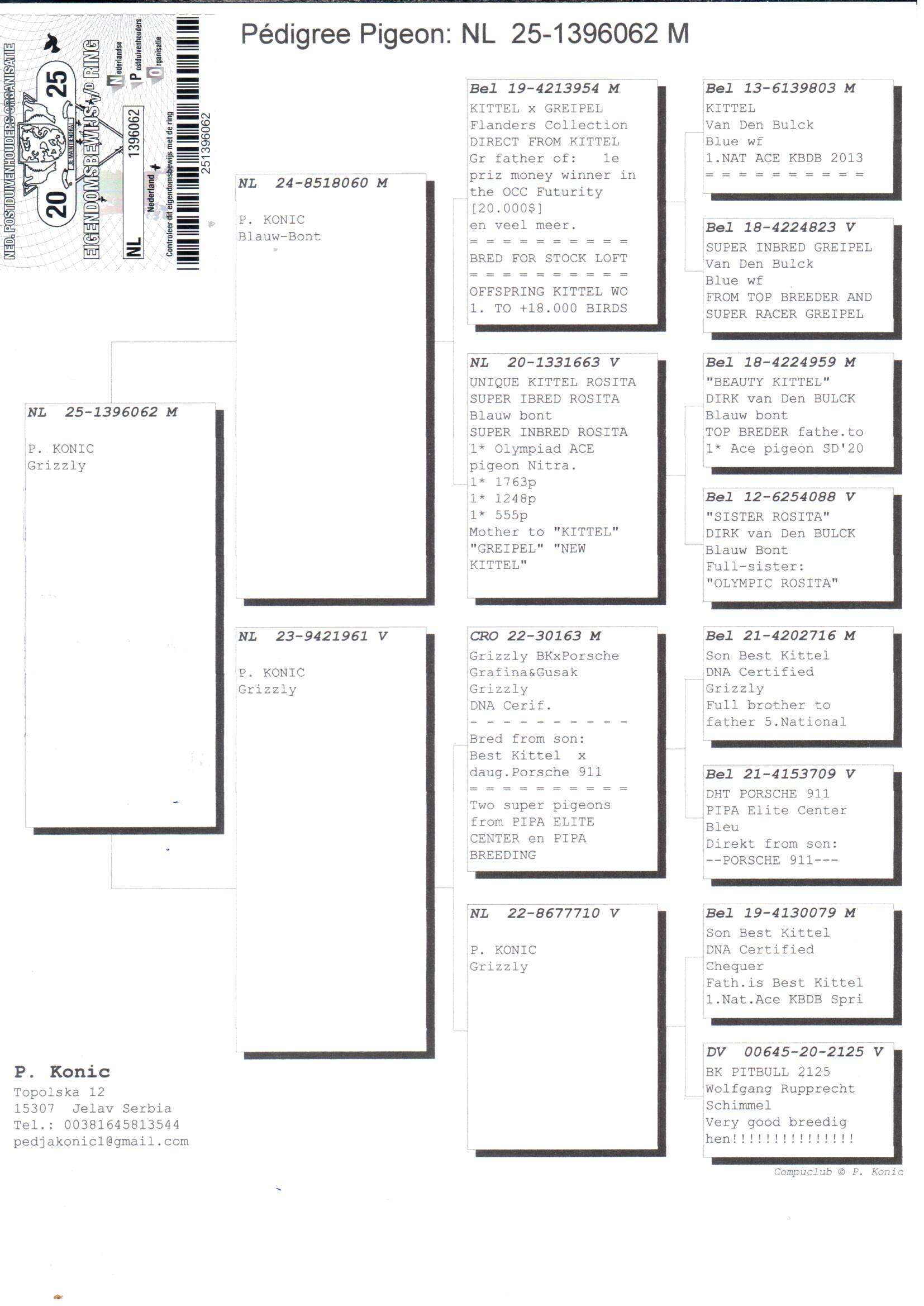 pedigree Kittel : 1e Nat. Asduif Snelheid KBDB (Vd Bulck Dirk) meets Best Kittel : 1e Nat. Asduif KBDB Snelheid(PEC)