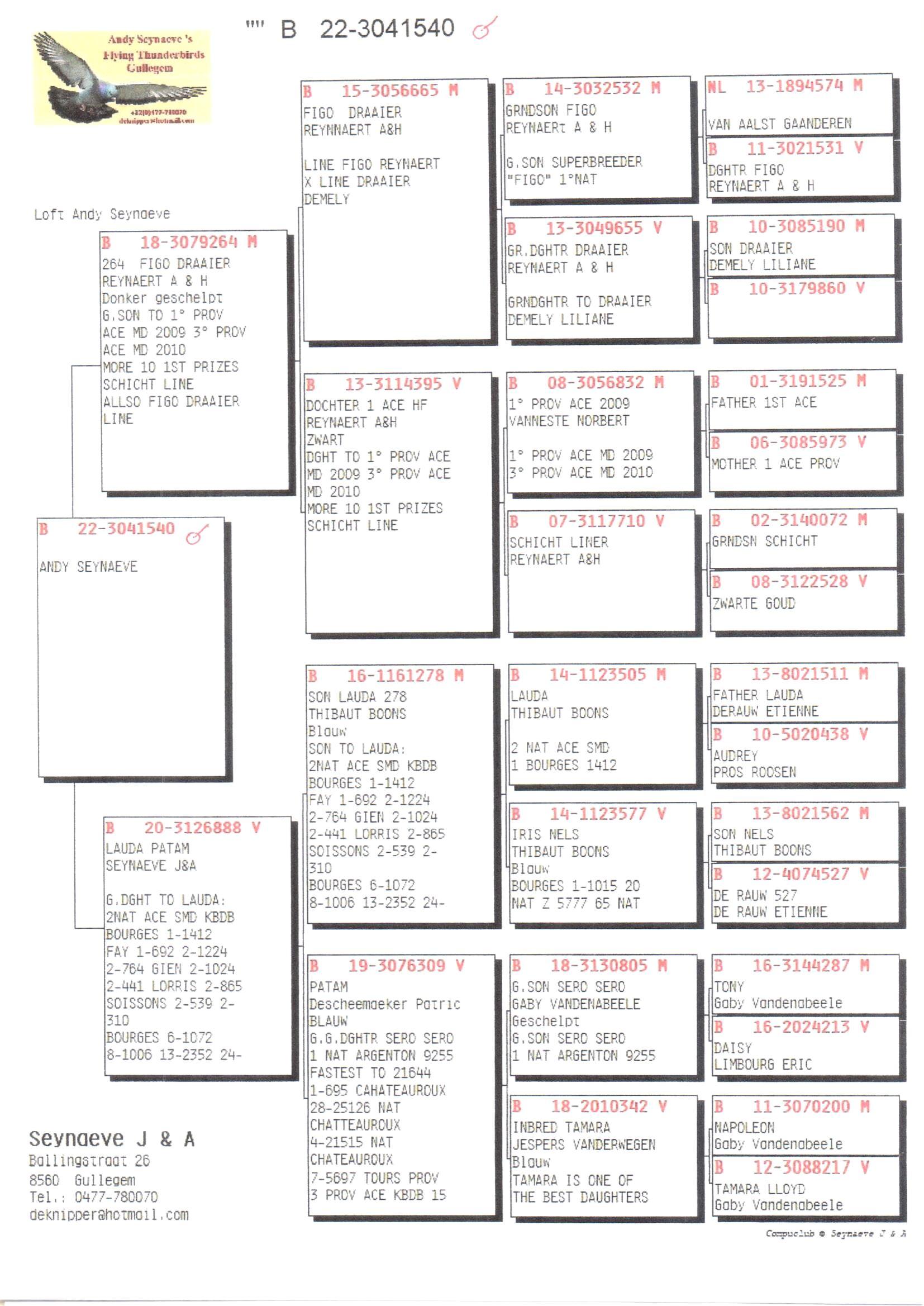 Pedigree van Den 981